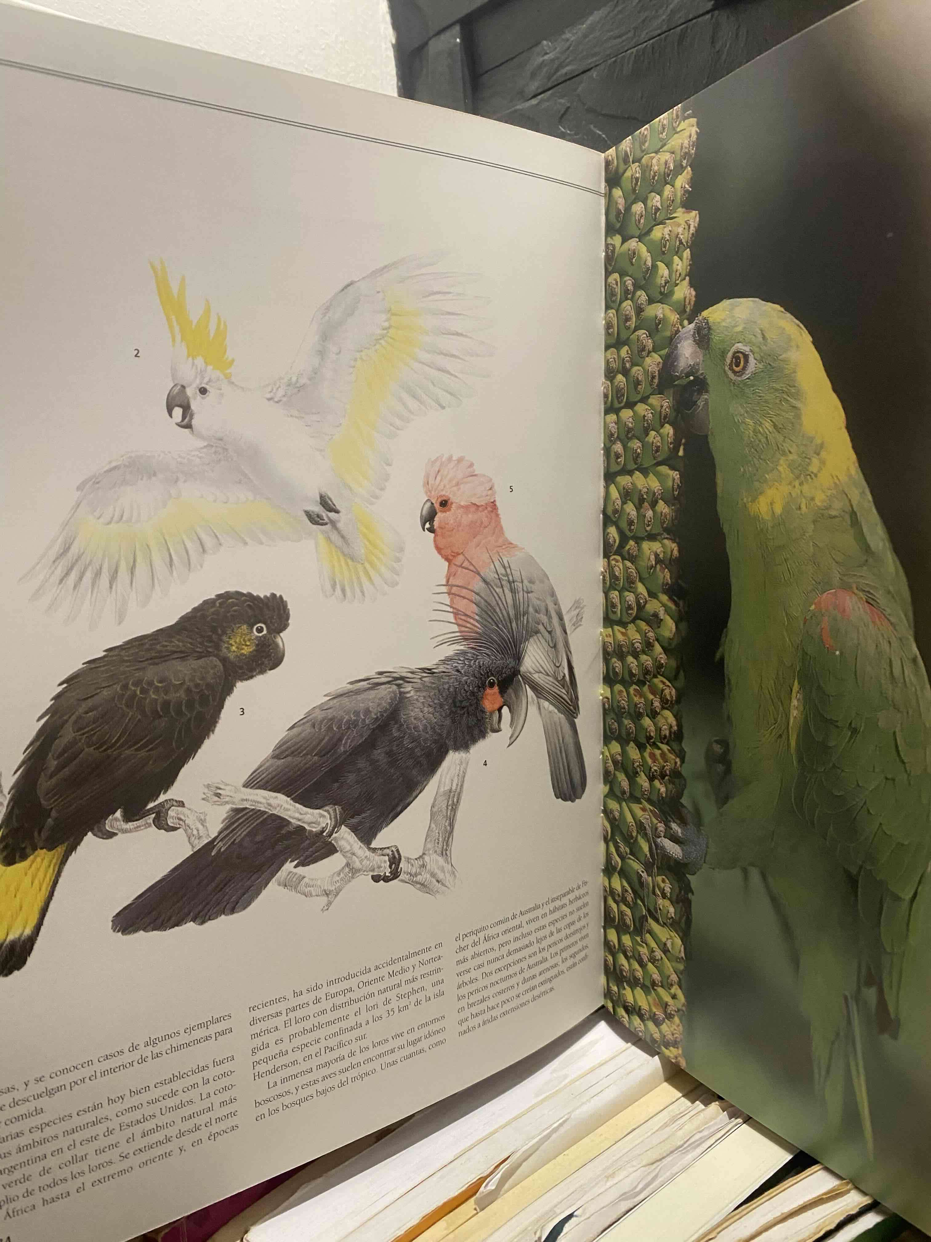 Enciclopedia Completa de las Aves - miniatura 6