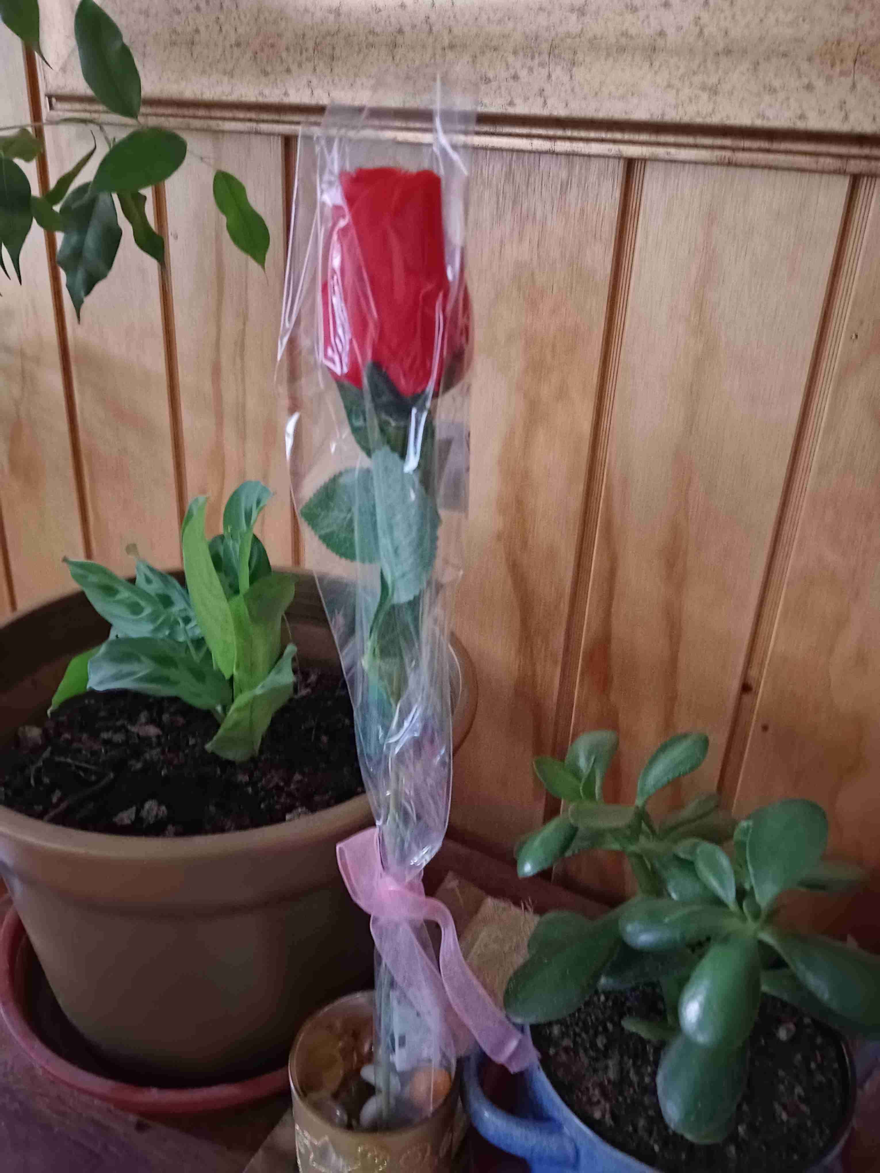 Rosa azul con luces LED - miniatura 2