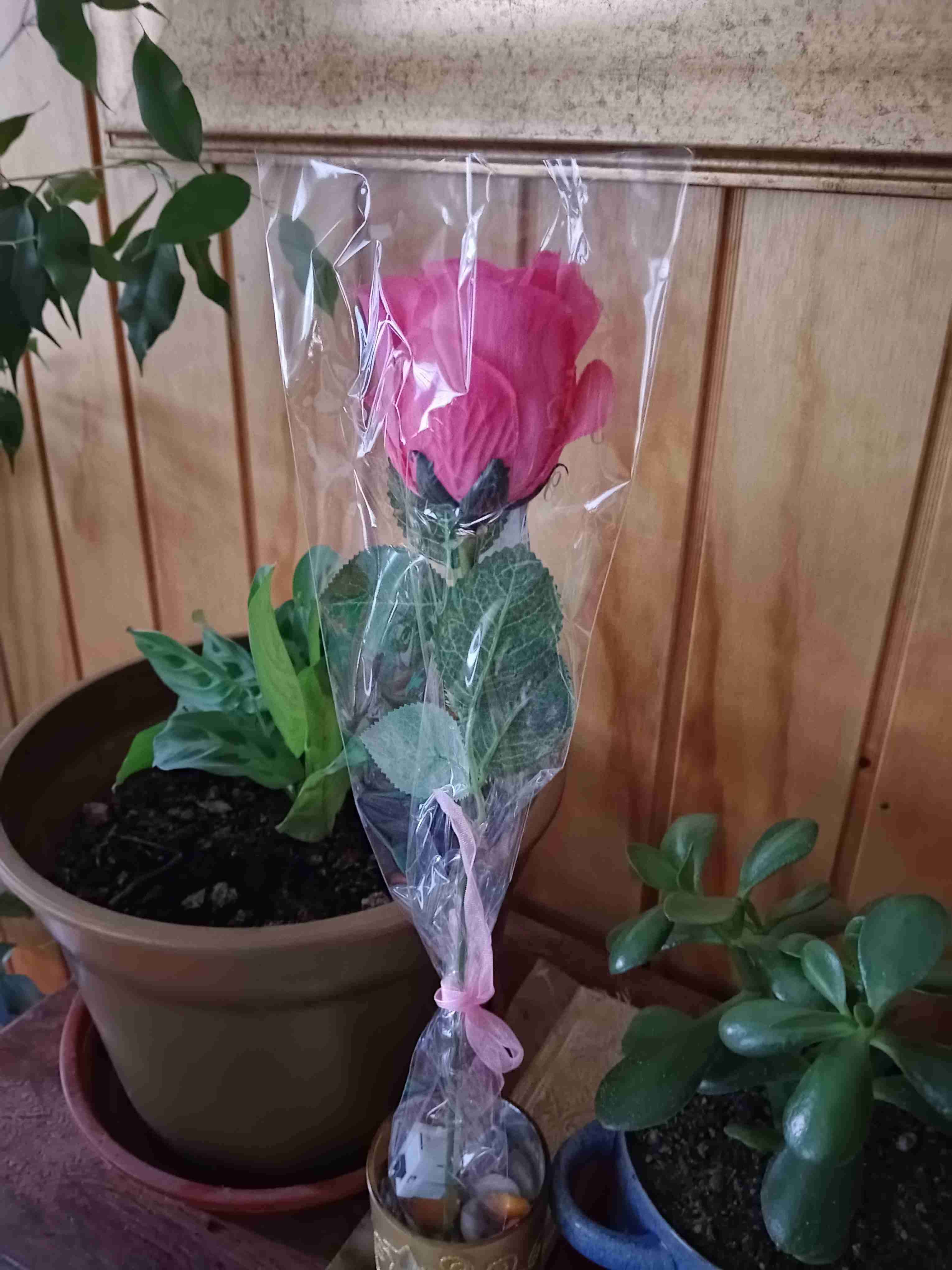 Rosa azul con luces LED - miniatura 4