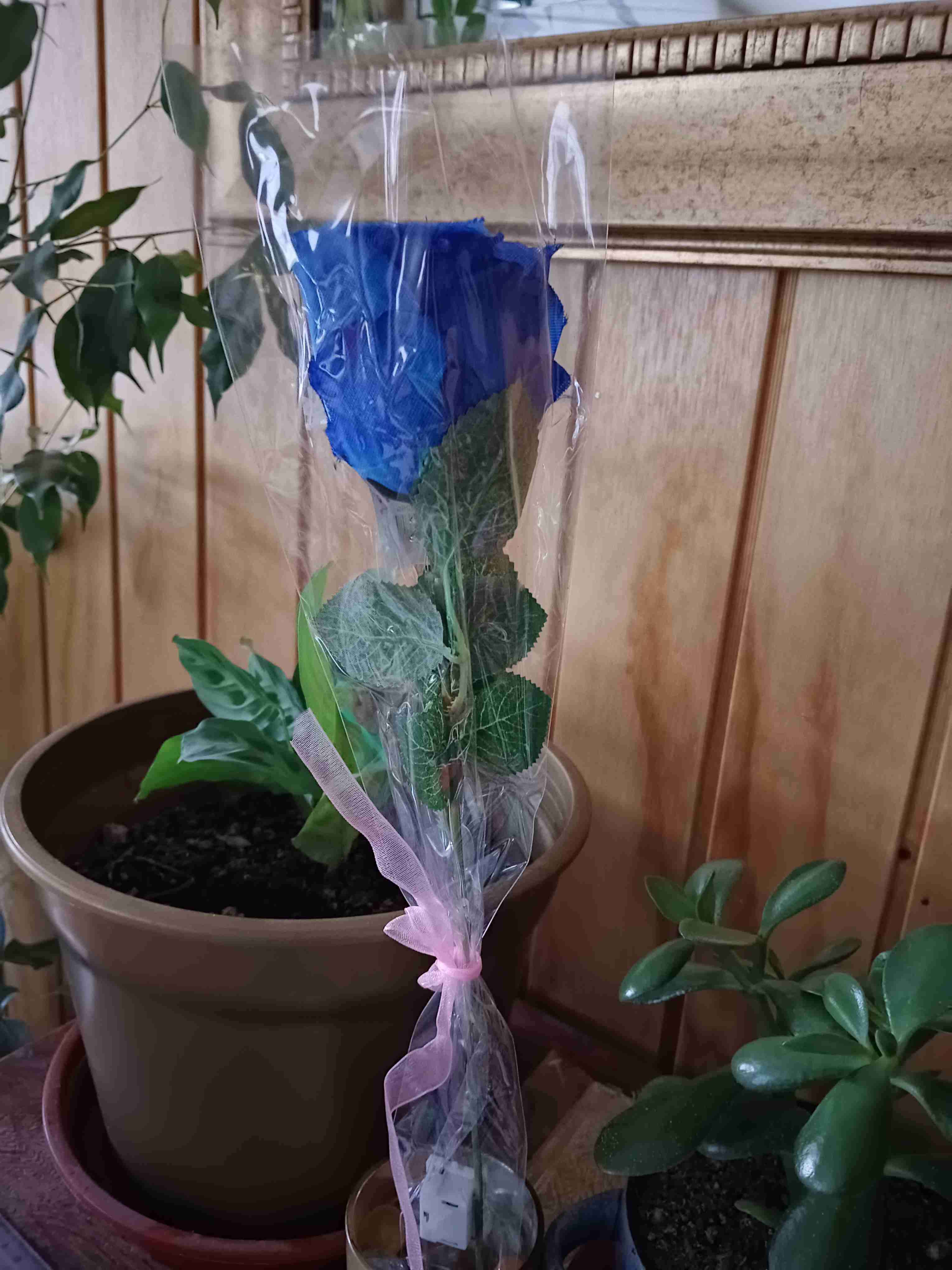 Rosa azul con luces LED - miniatura 5