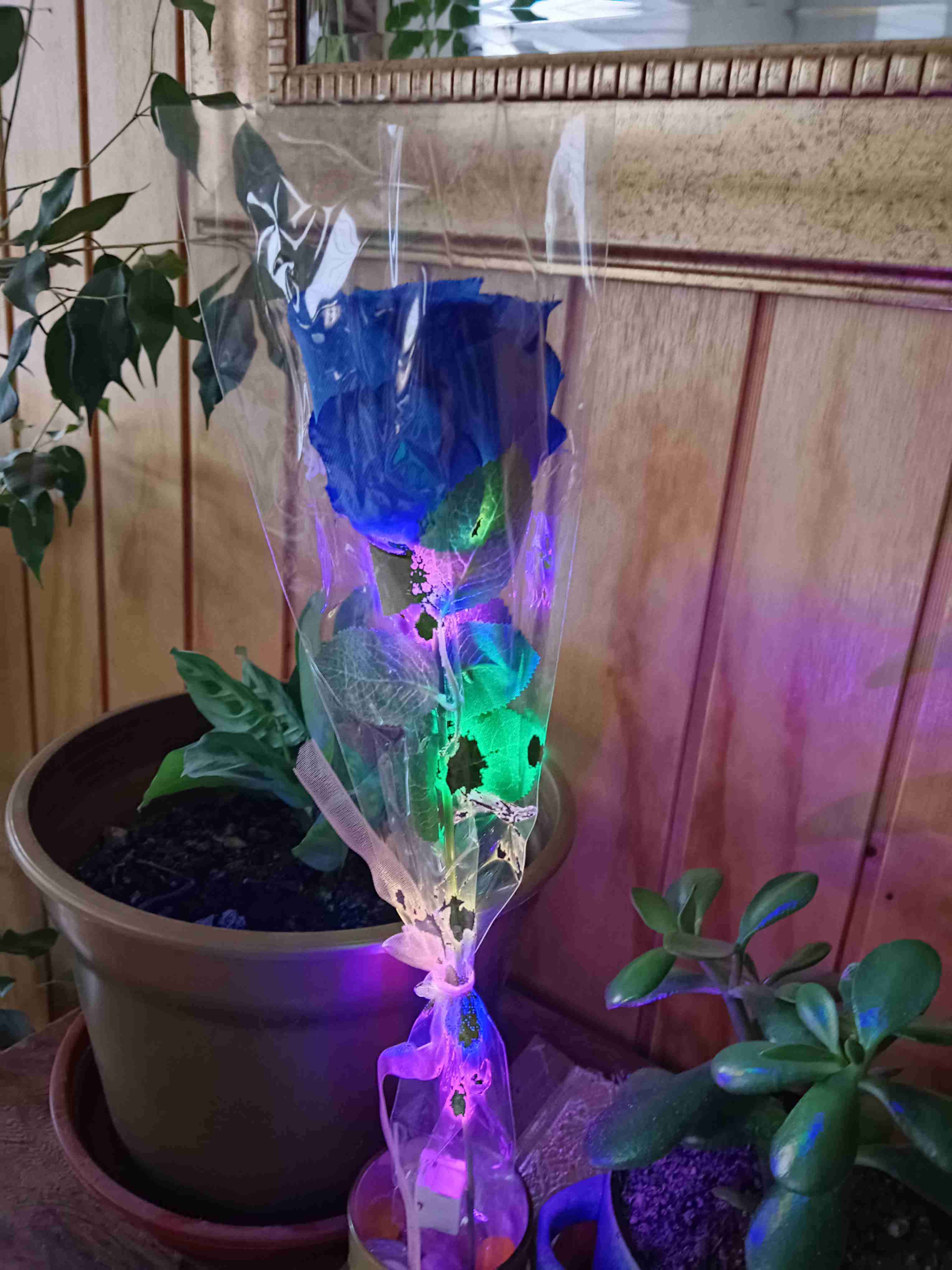Rosa azul con luces LED - miniatura 6