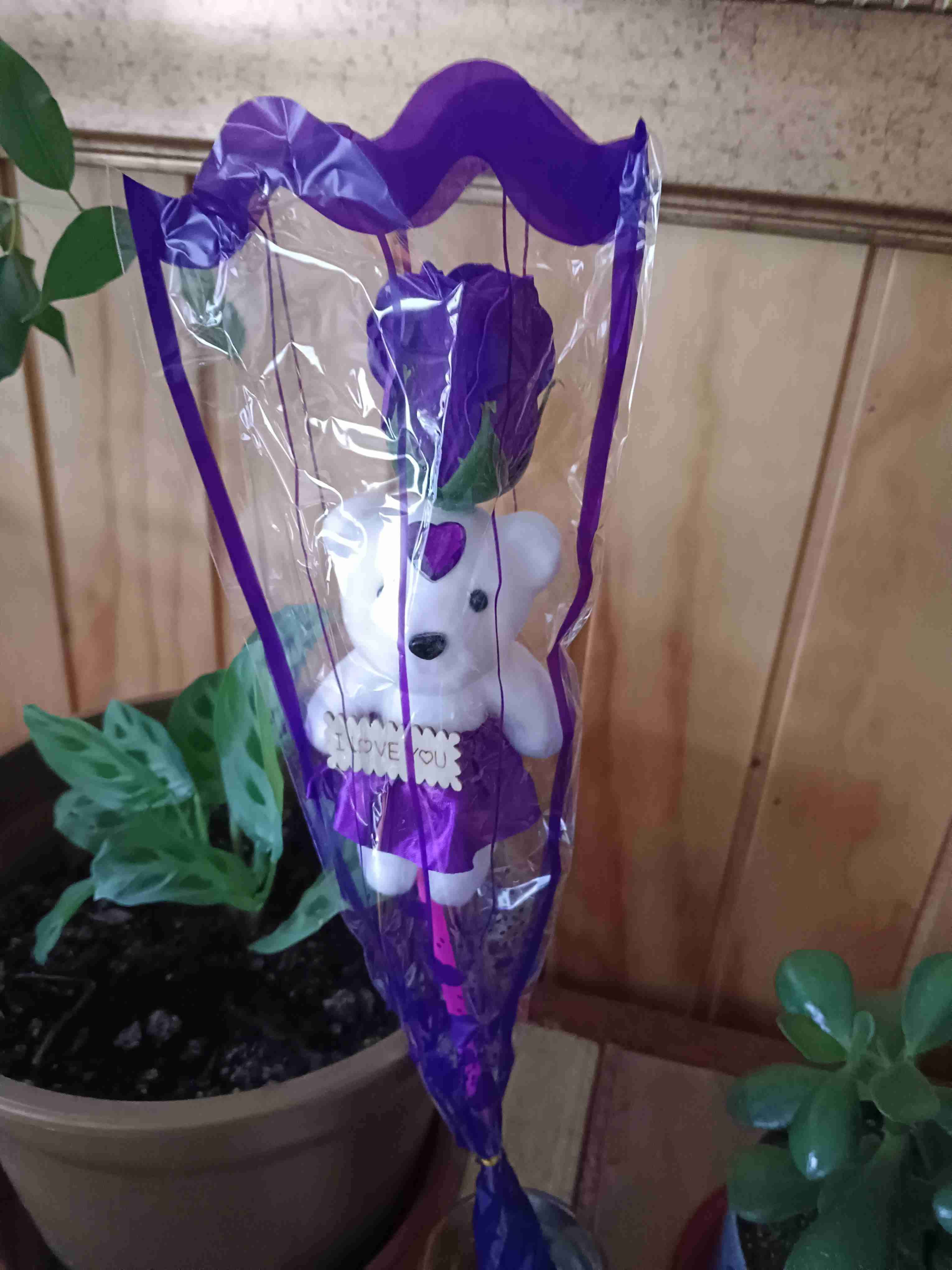 Rosa de osito - miniatura 2