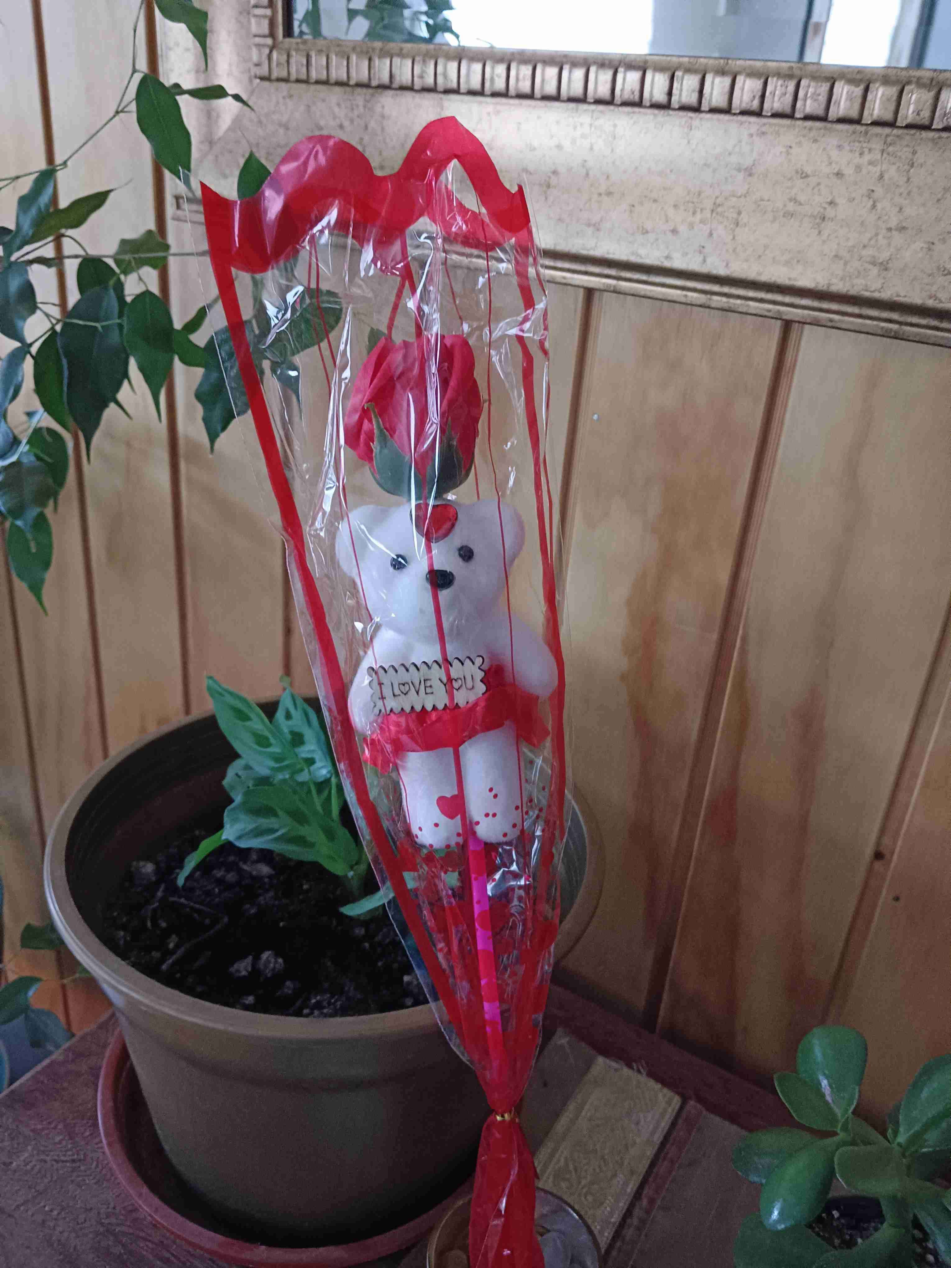 Rosa de osito - miniatura 3