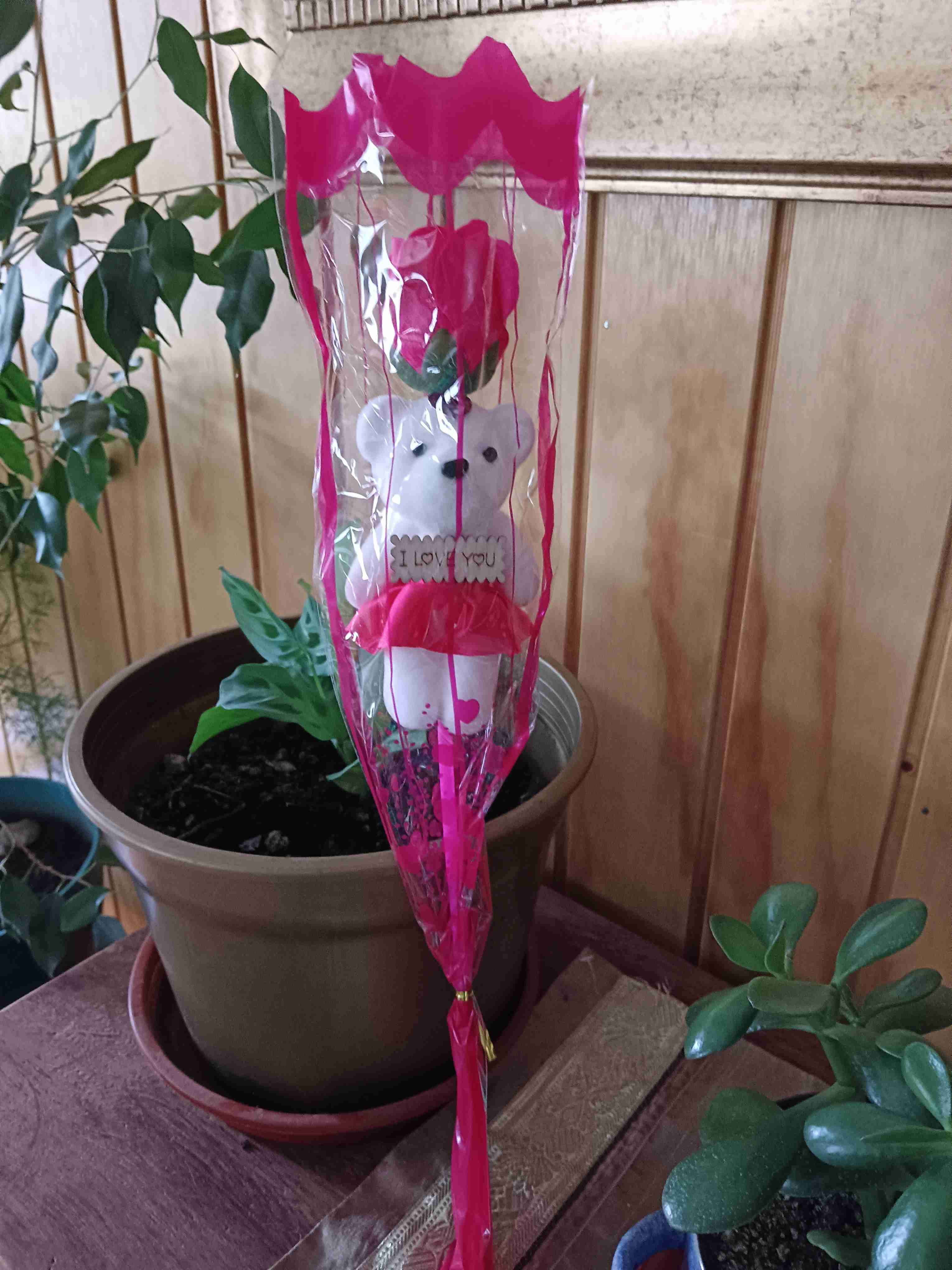 Rosa de osito - miniatura 6