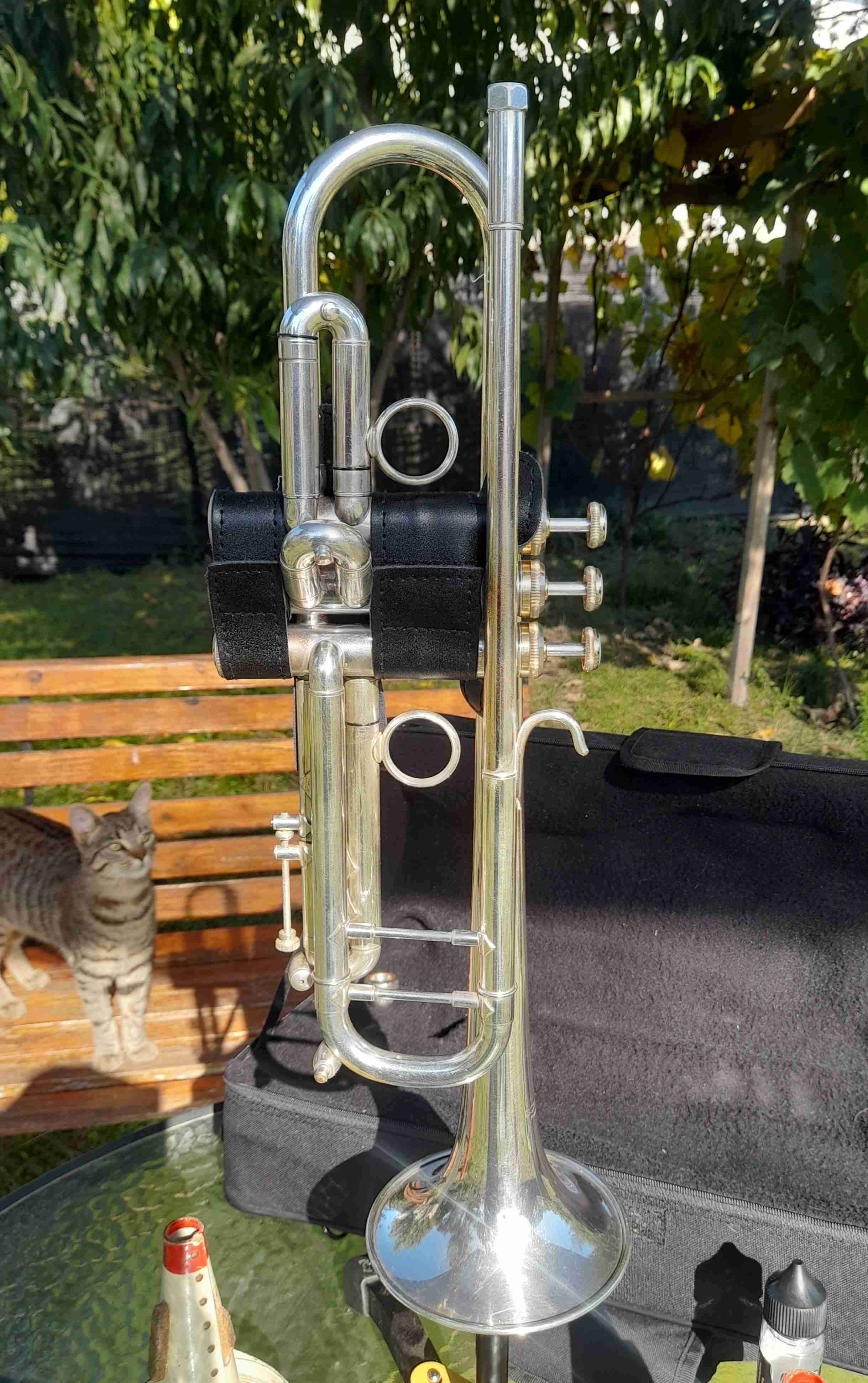 Trompeta Schiller Frankfurt - miniatura 2