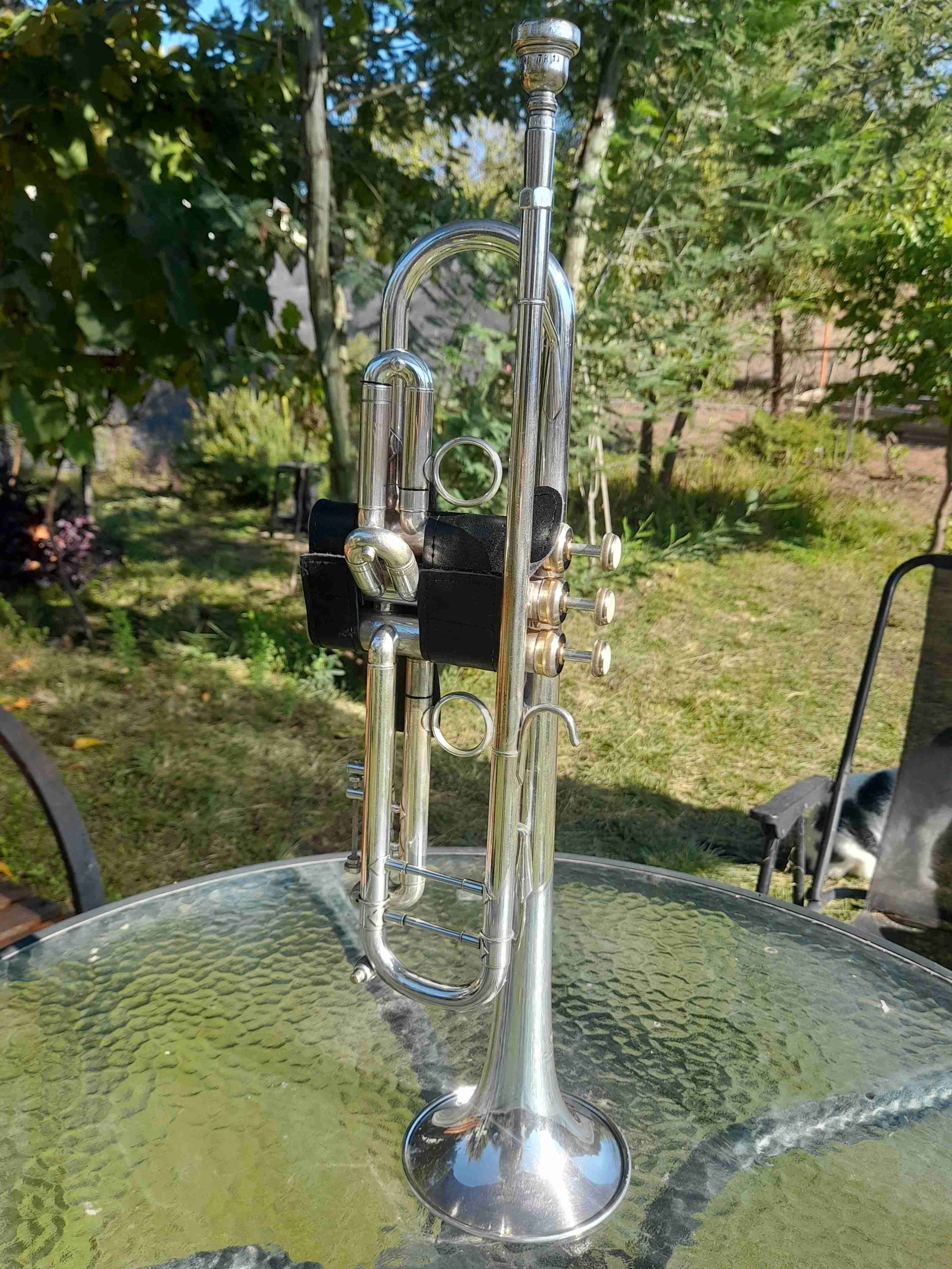 Trompeta Schiller Frankfurt - miniatura 6