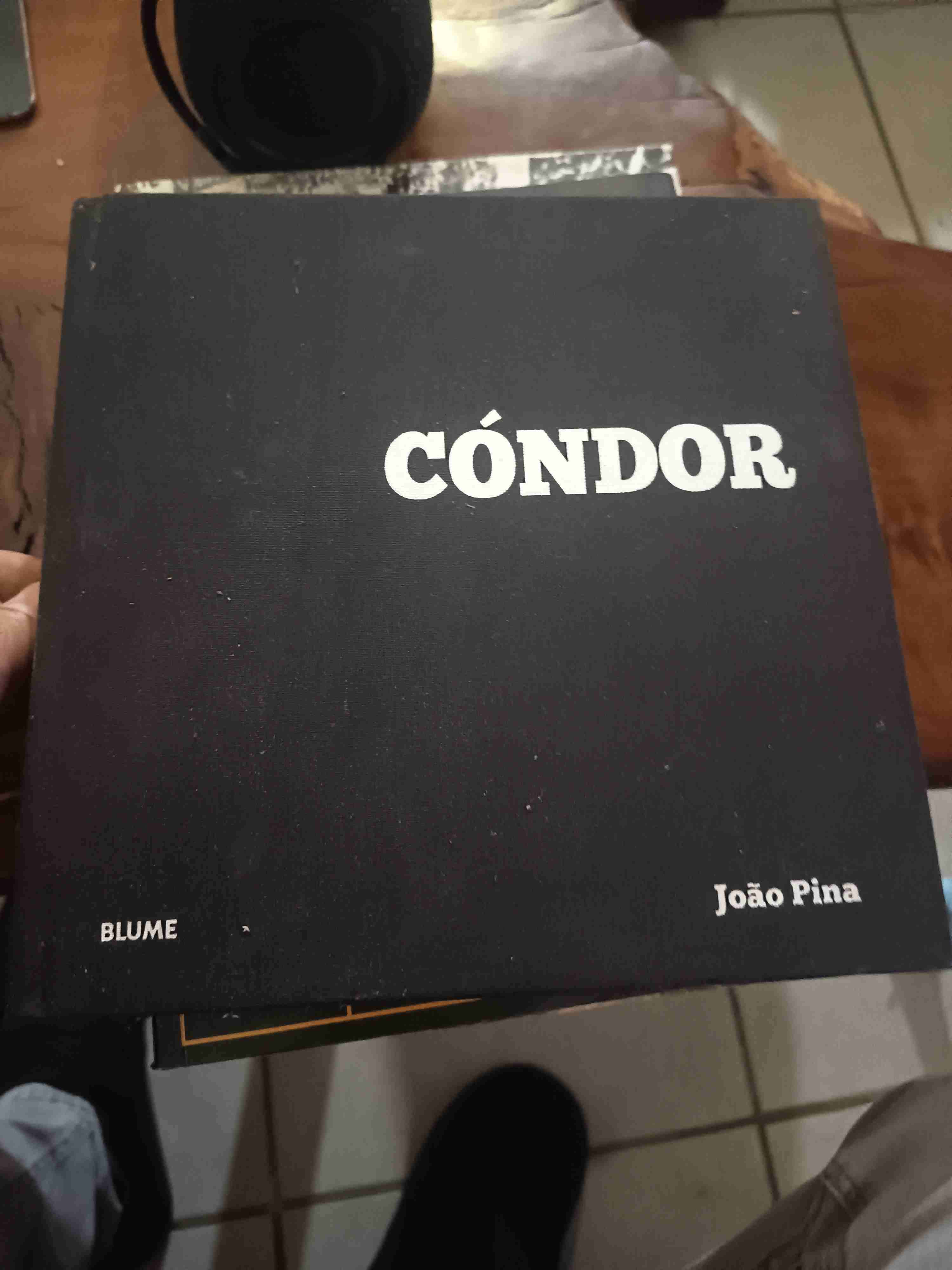 Novela gráfica 'Los años de Allende' - miniatura 4