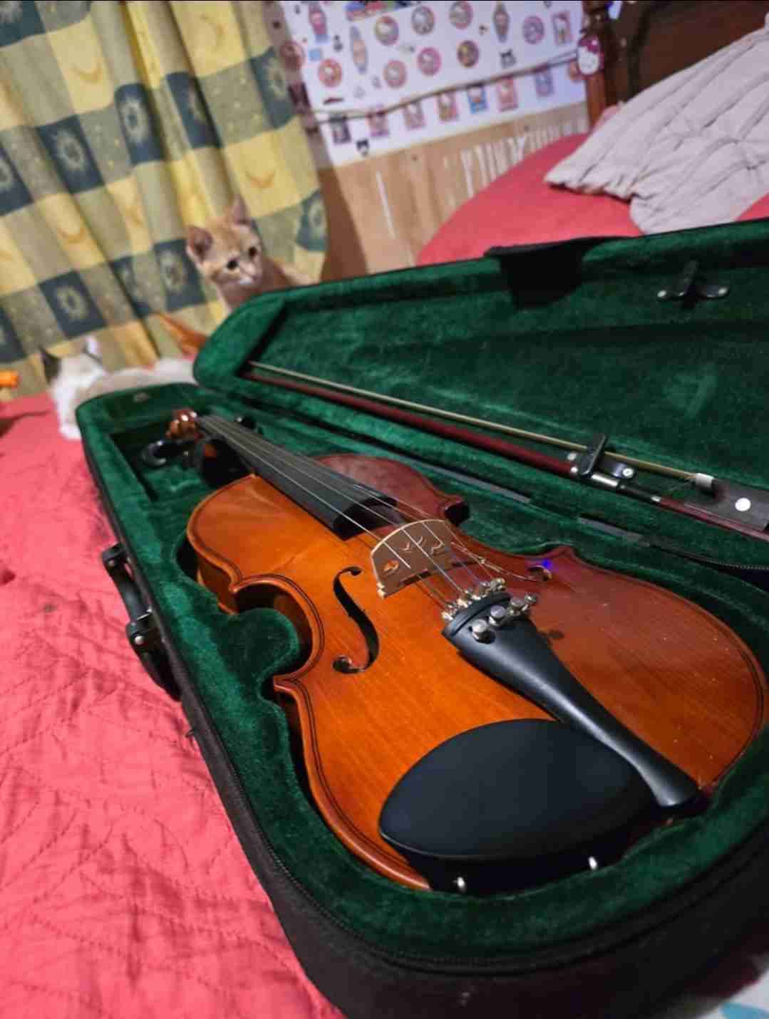 Violín con estuche rígido - miniatura 1
