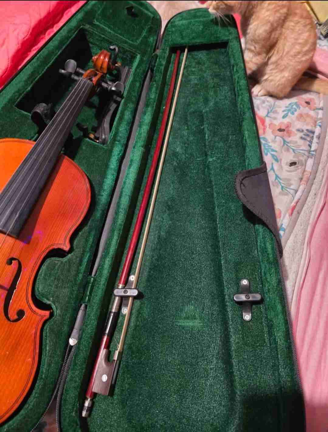 Violín con estuche rígido - miniatura 2