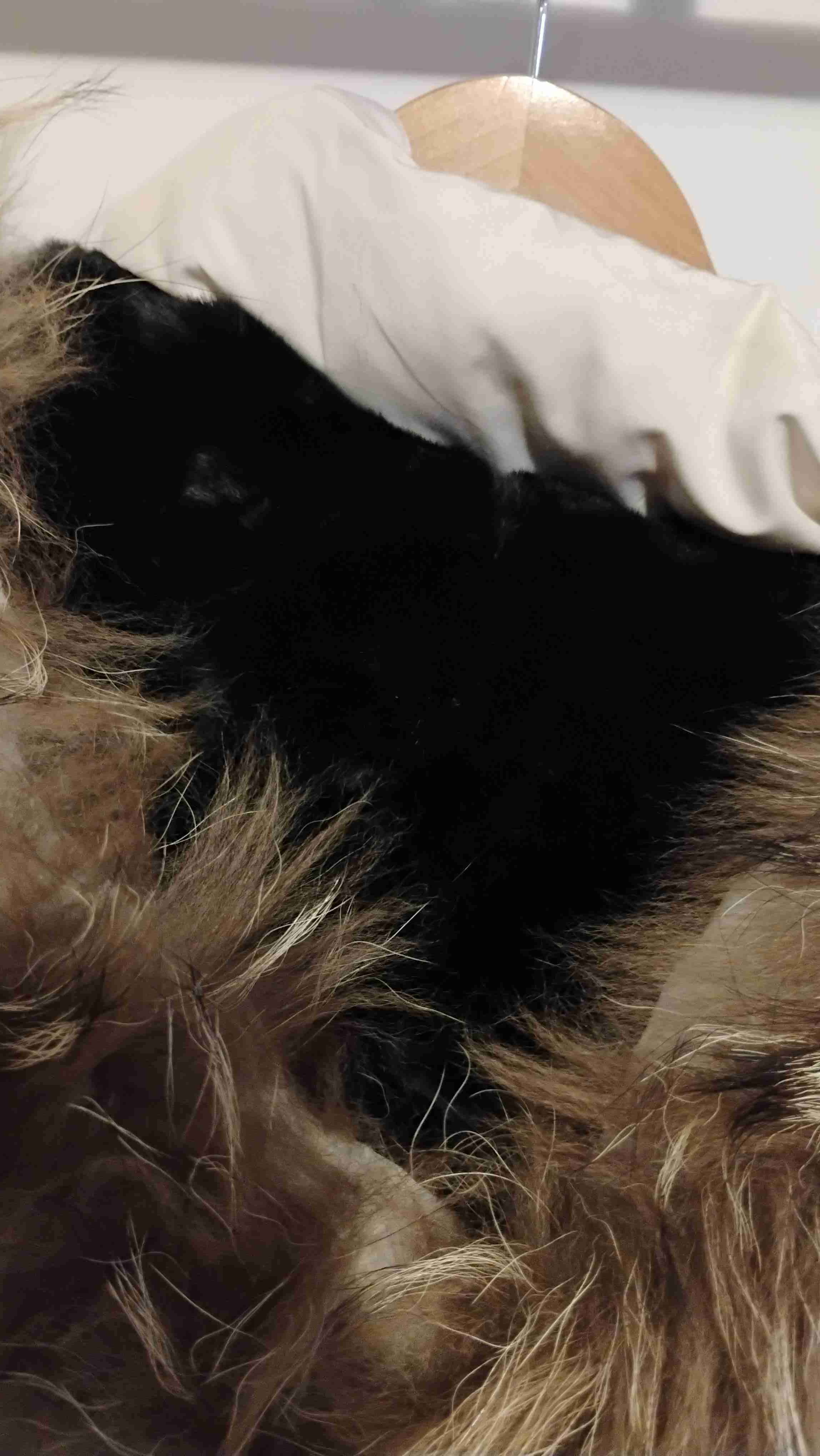 Parka blanco invierno con capucha de peluche - miniatura 3