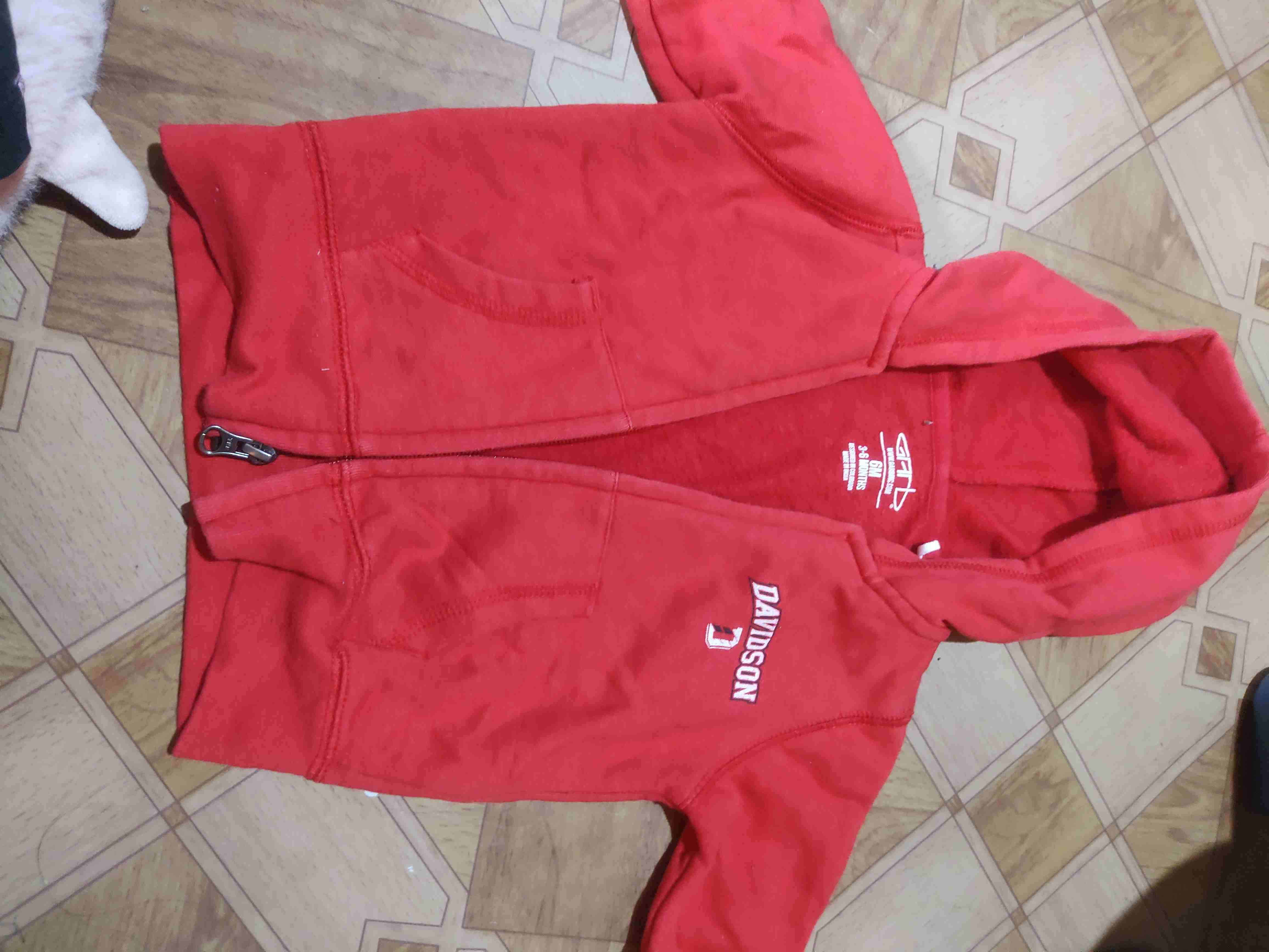 Polerón rojo con capucha Davidson