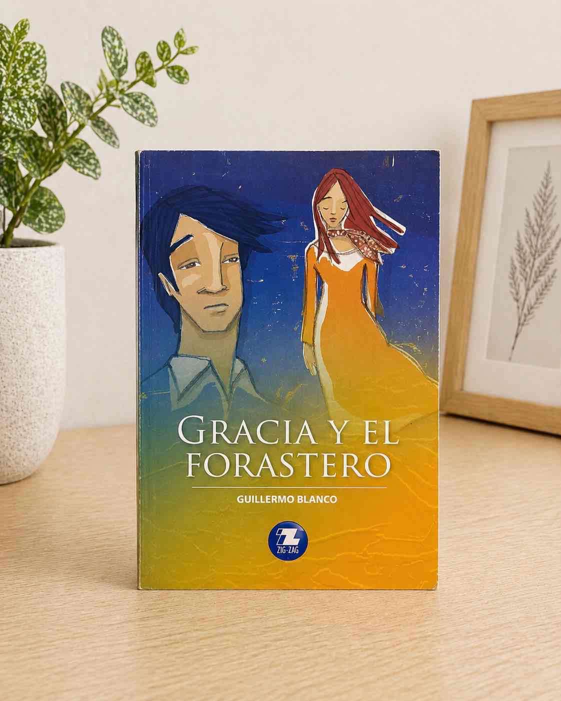 Libro Gracia y el Forastero - miniatura 1