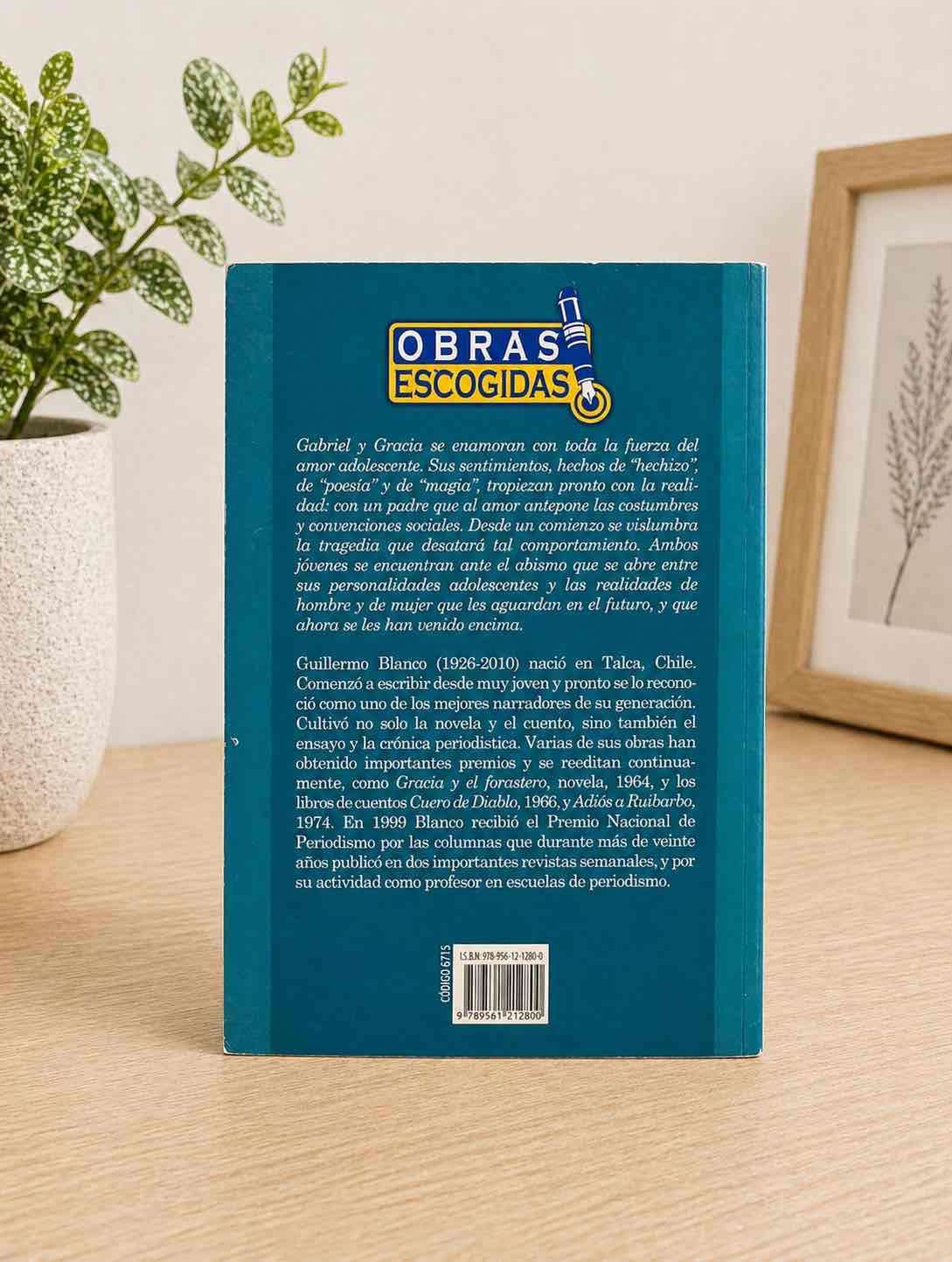 Libro Gracia y el Forastero - miniatura 2