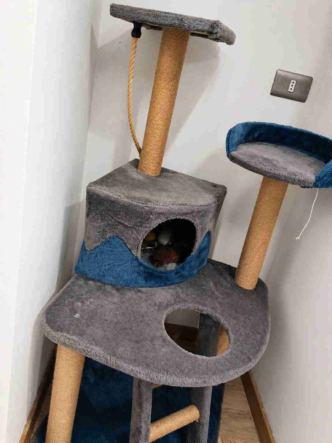 Árbol para gatos gris y azul - miniatura 2