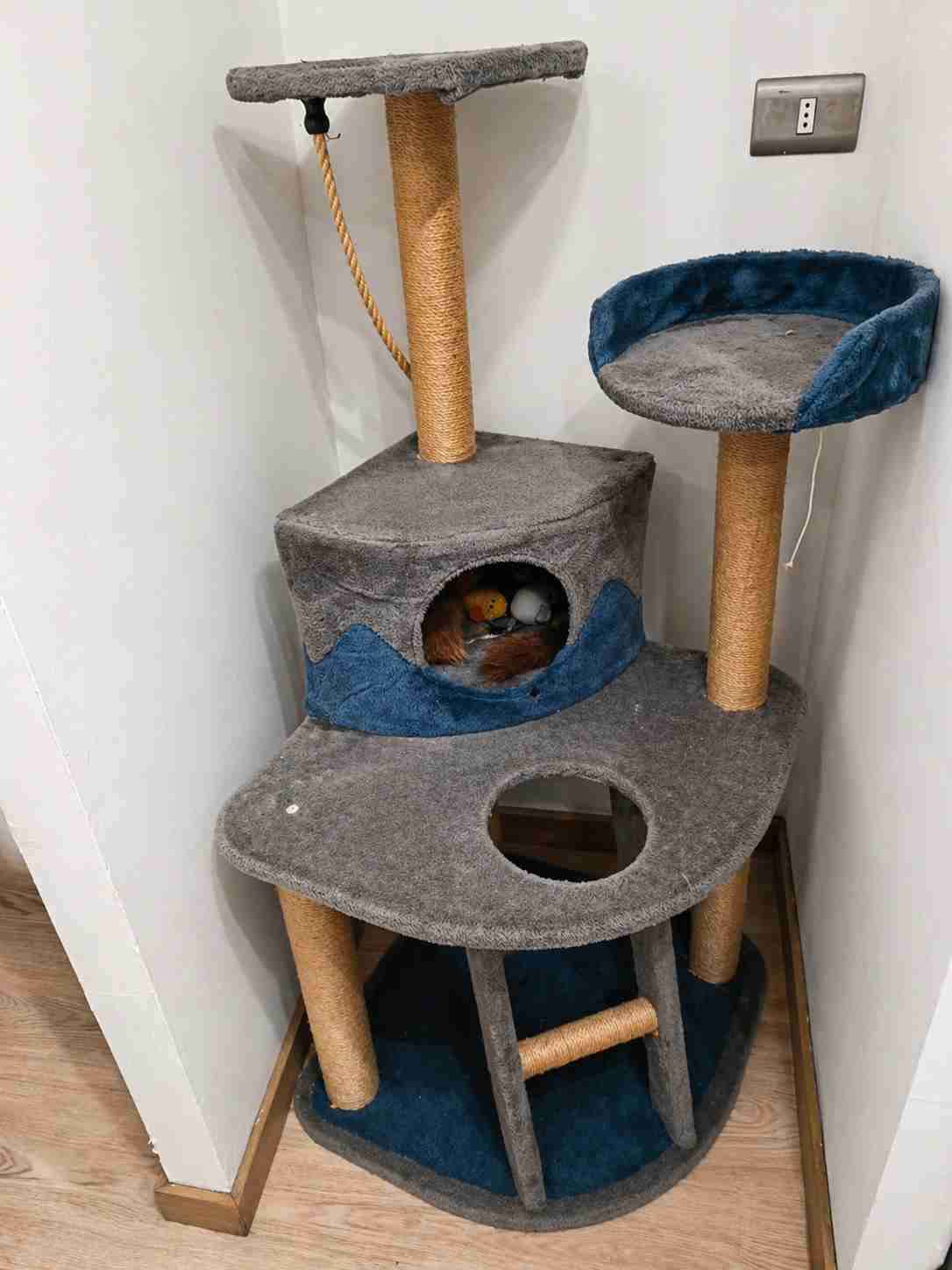 Árbol para gatos gris y azul - miniatura 3