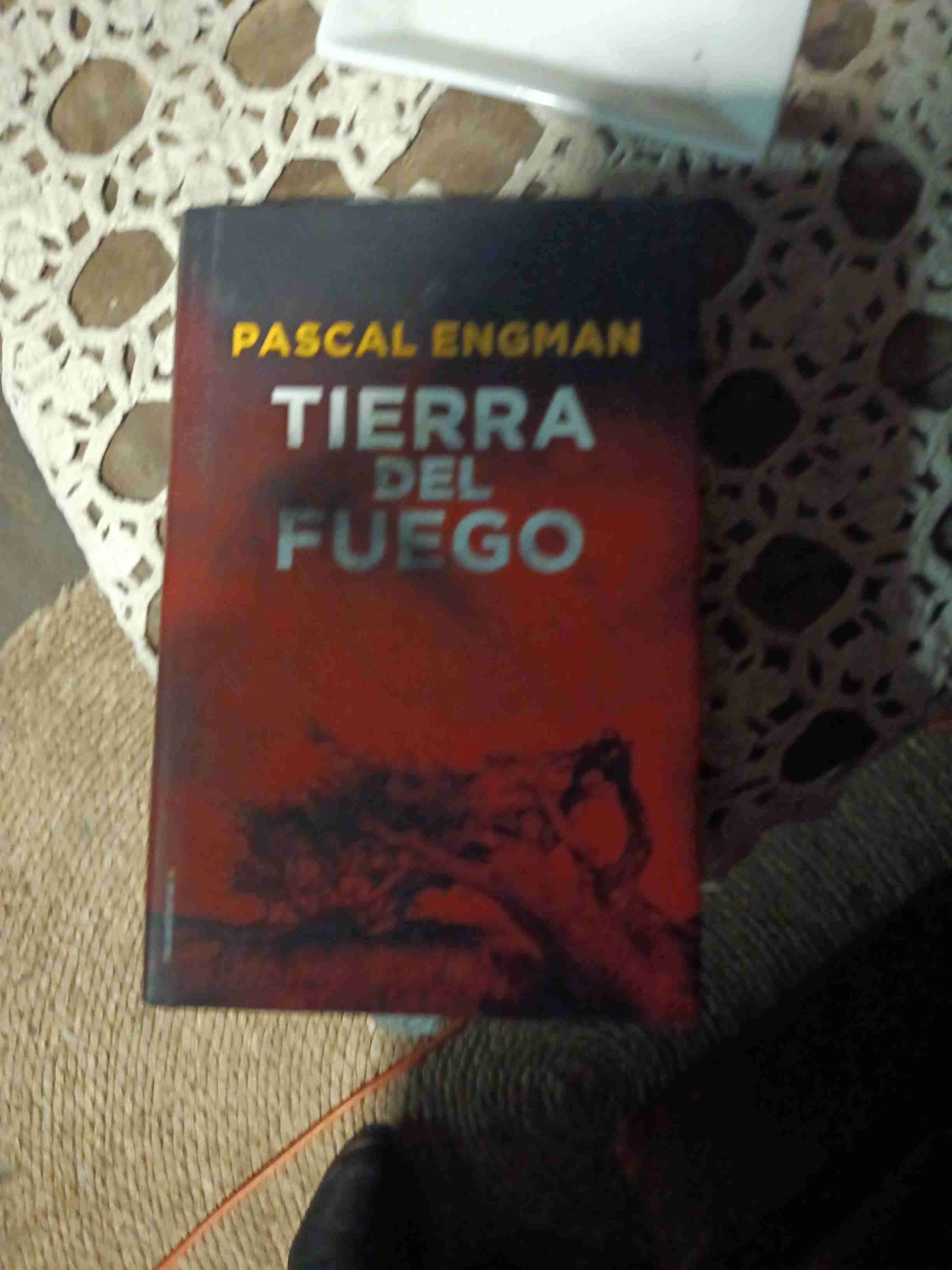 Libro Tierra del Fuego - miniatura 2