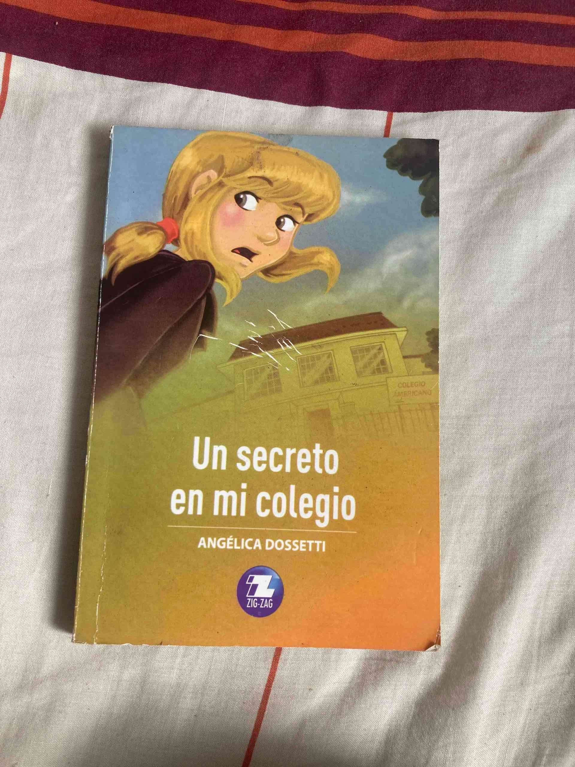 Libro 'Un secreto en mi colegio' - miniatura 1