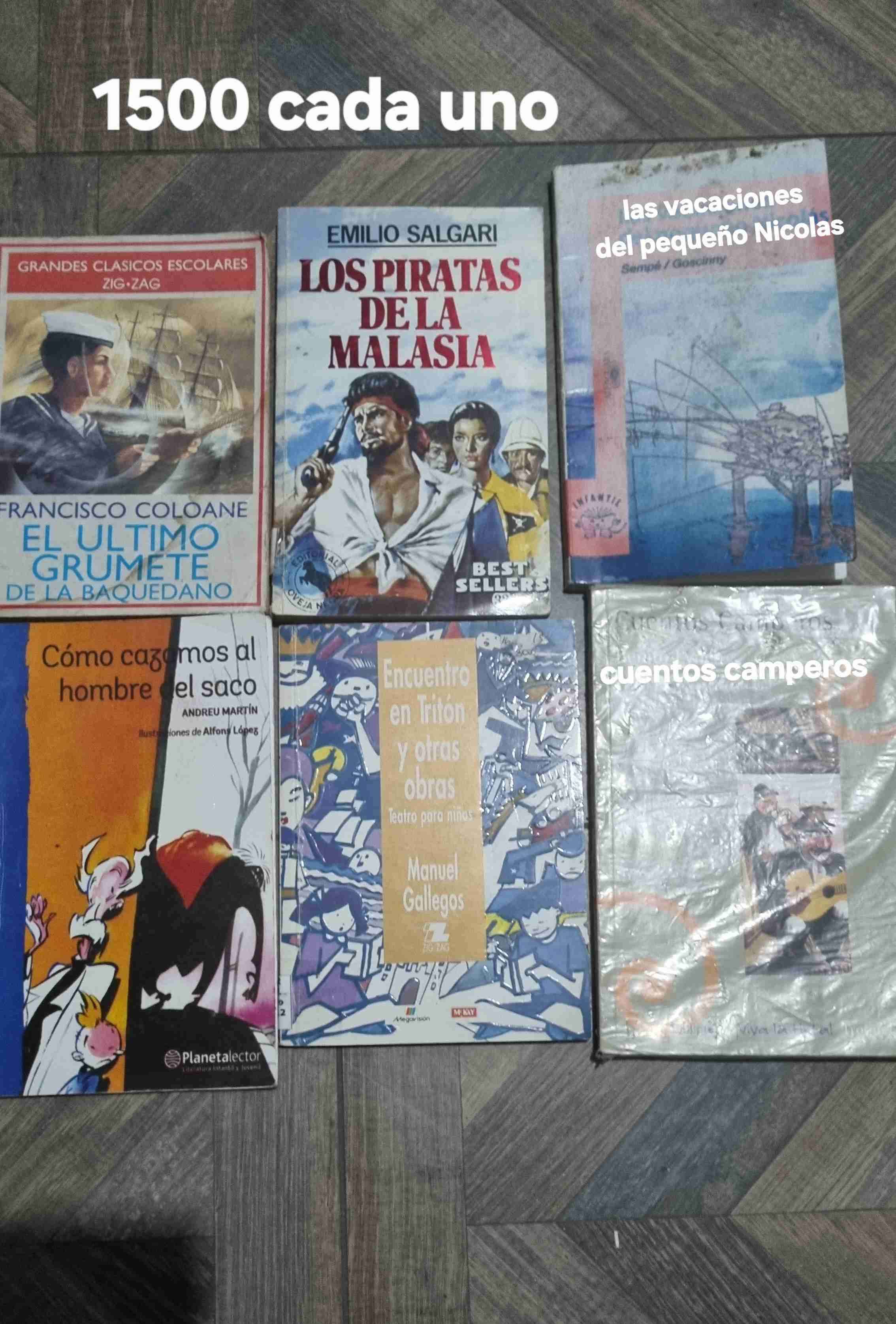 Lote de libros clásicos Anaya - miniatura 2