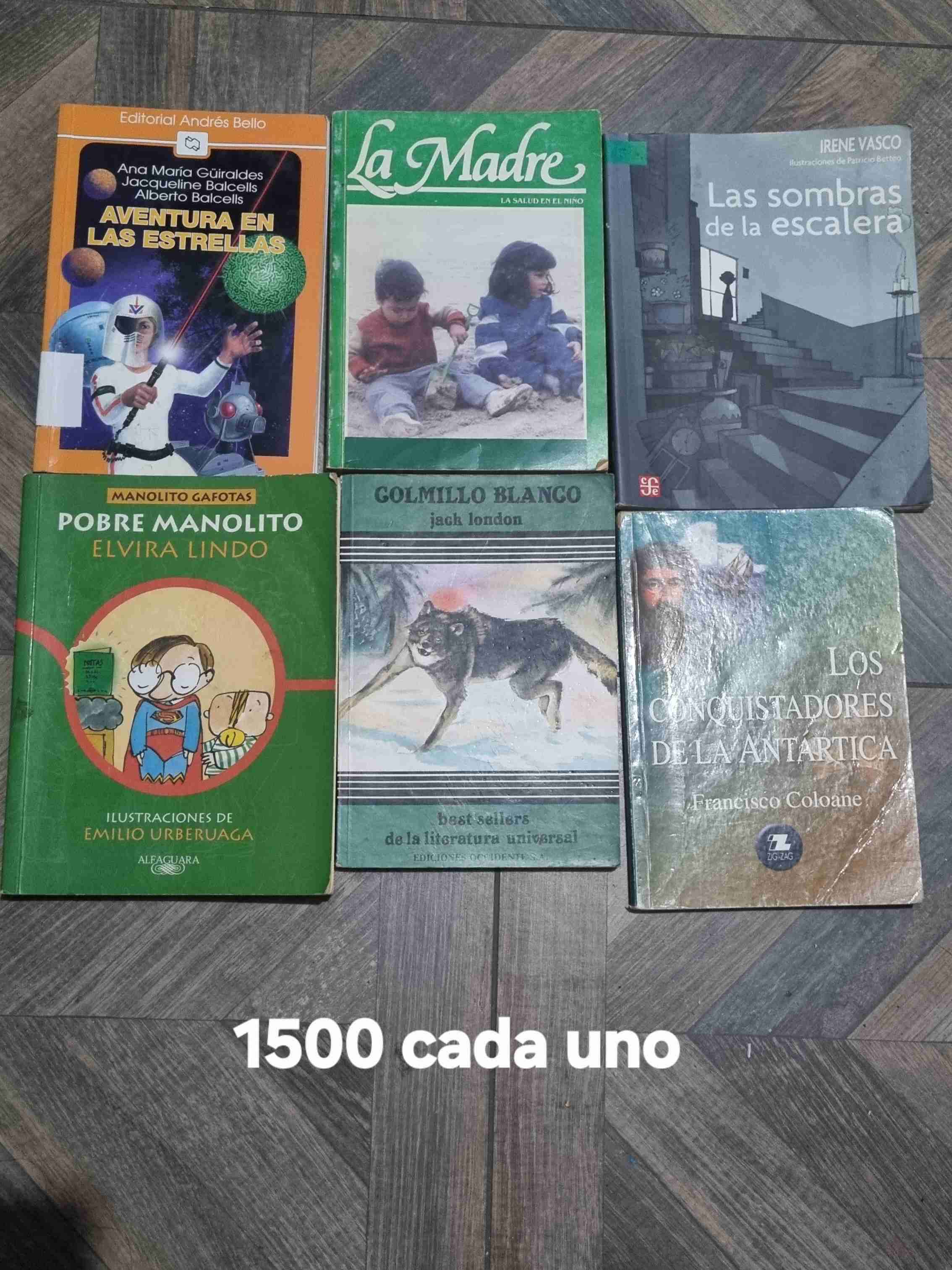 Lote de libros clásicos Anaya - miniatura 5