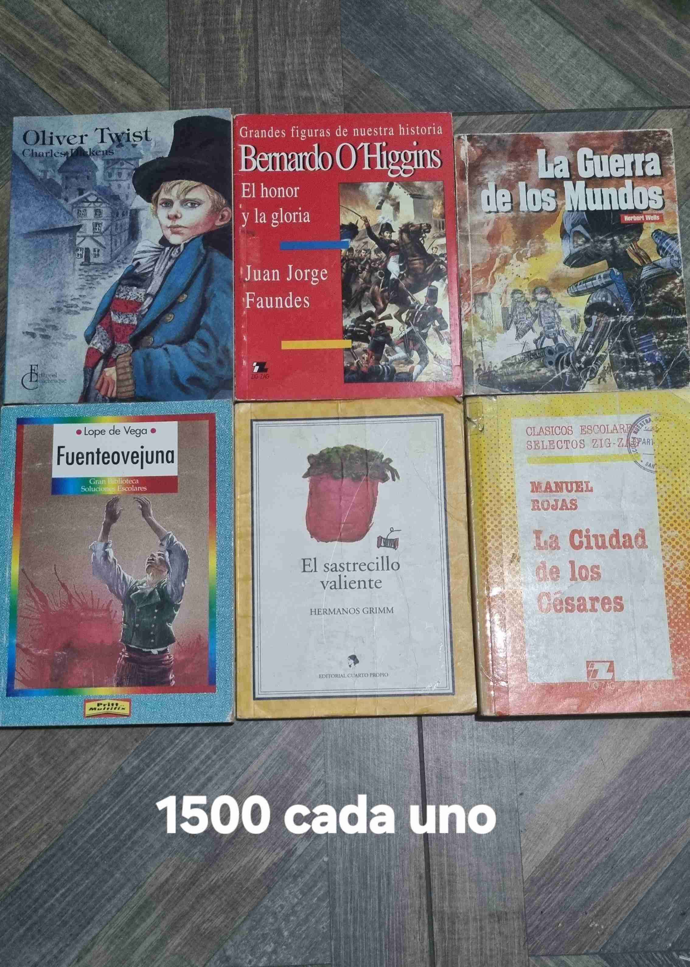 Lote de libros clásicos Anaya - miniatura 6