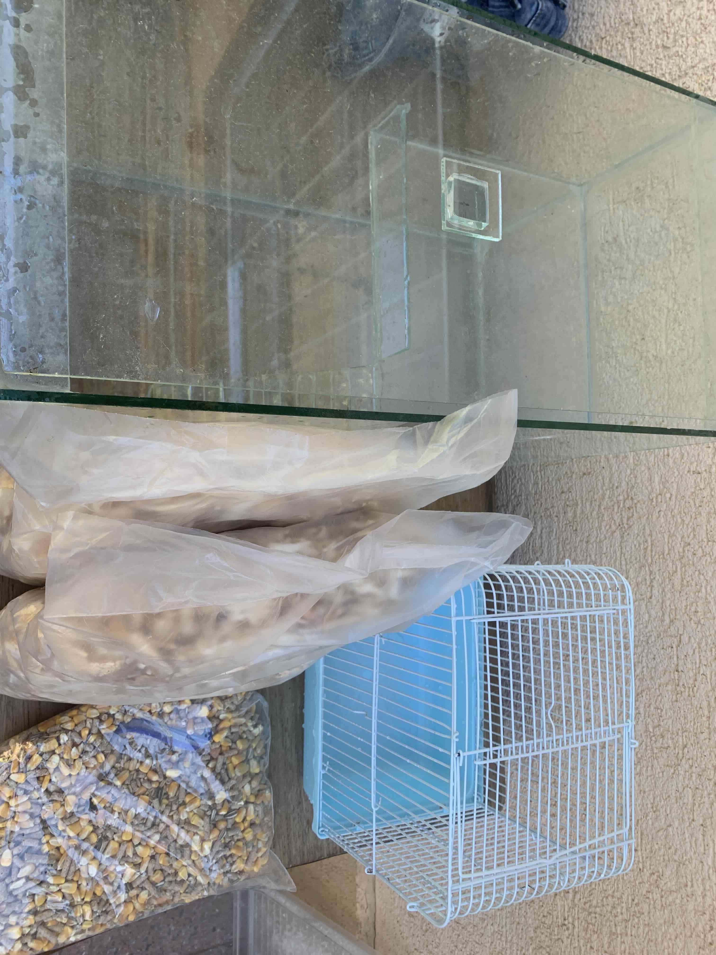 Kit para hamster o mascotas pequeñas - miniatura 2