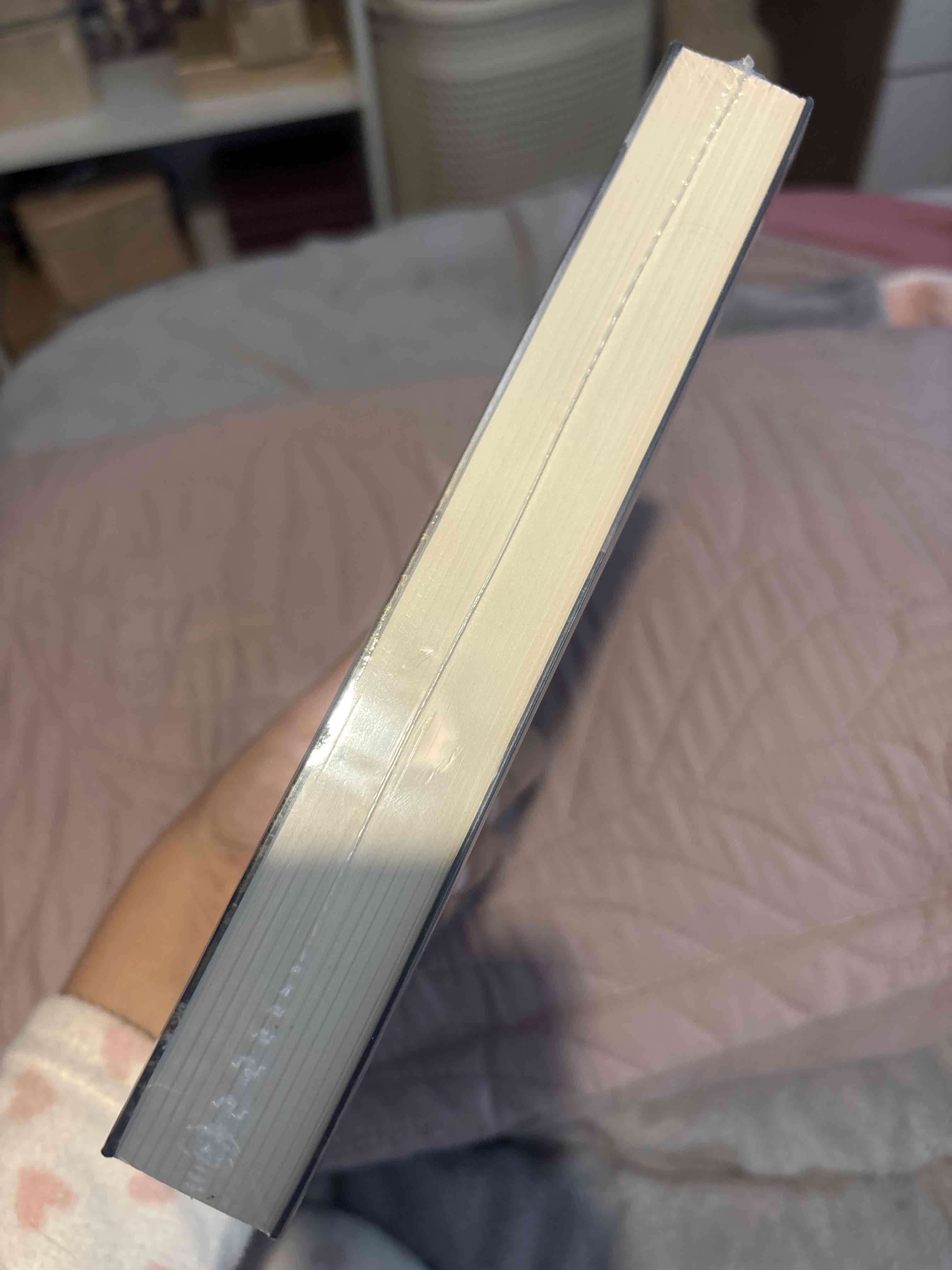 Libro 'La Primavera de los Rebeldes' - miniatura 3