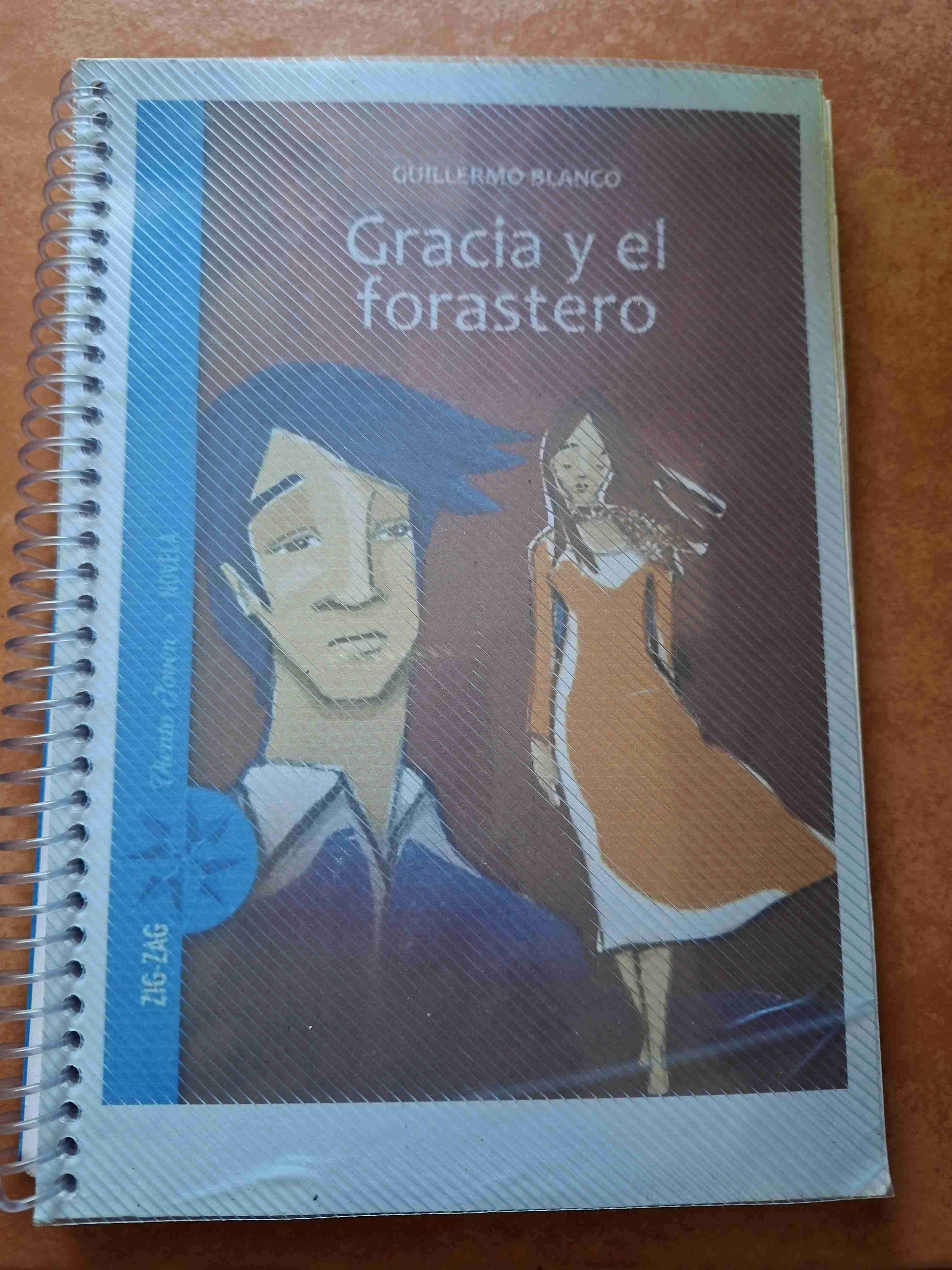 Libro 'Gracia y el forastero' usado