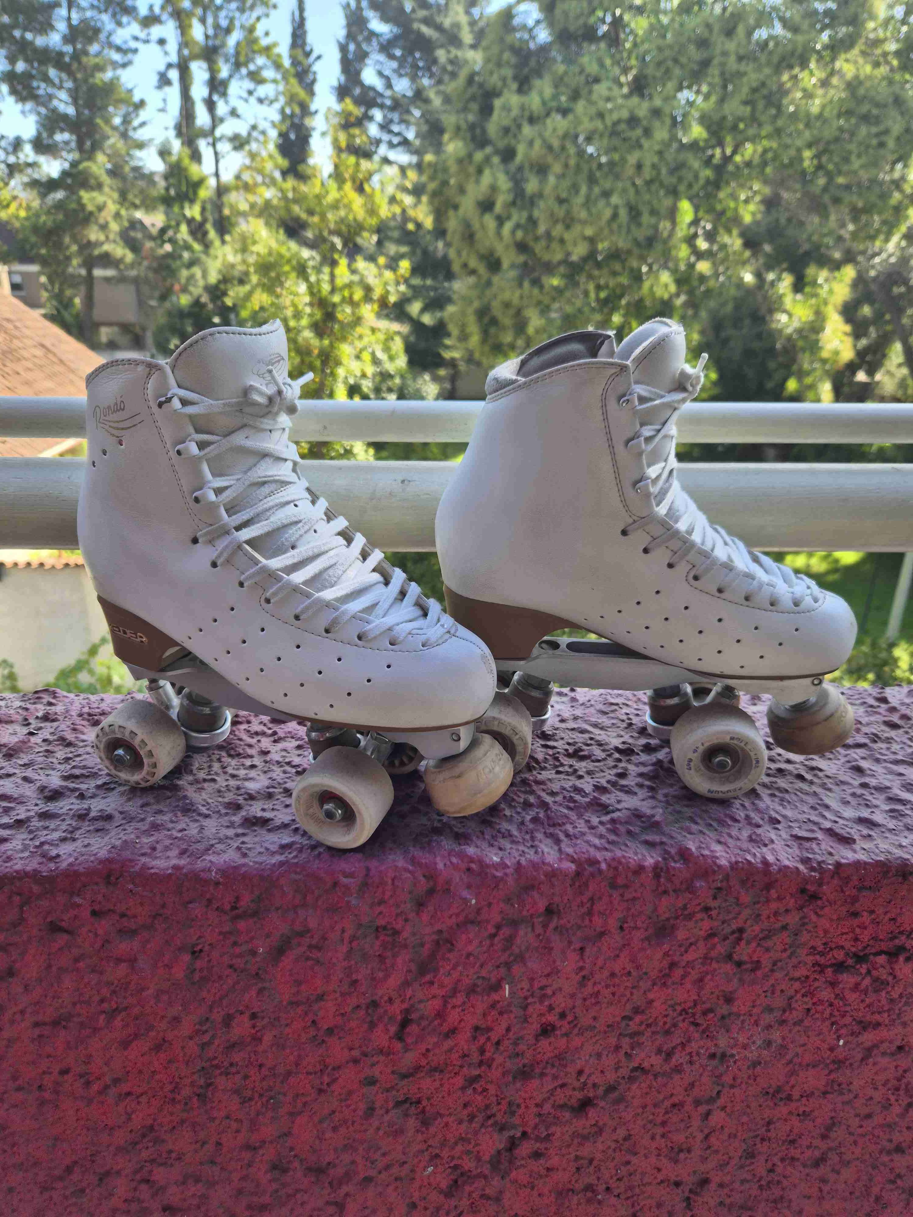 Patin Rondó - miniatura 1