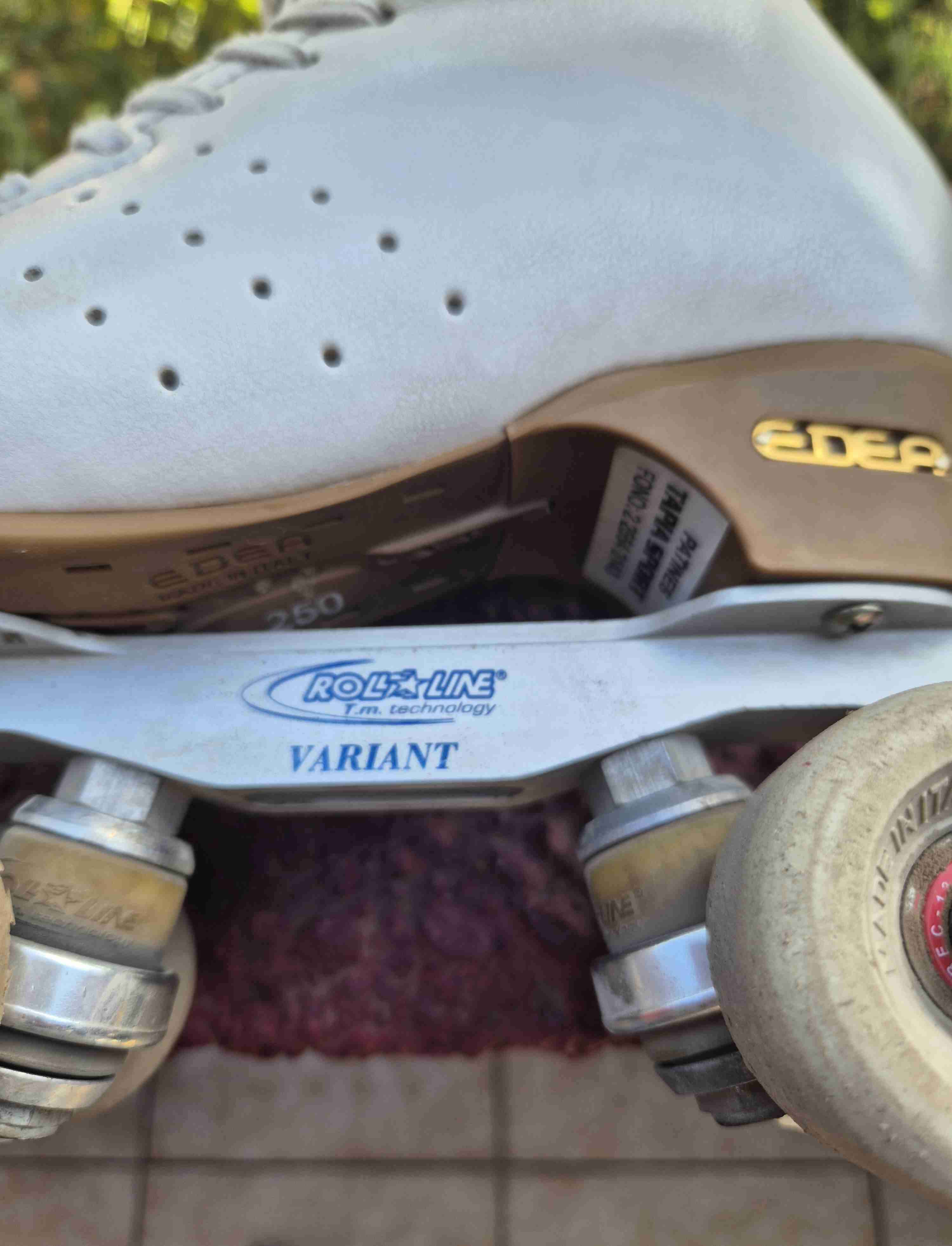 Patin Rondó - miniatura 4