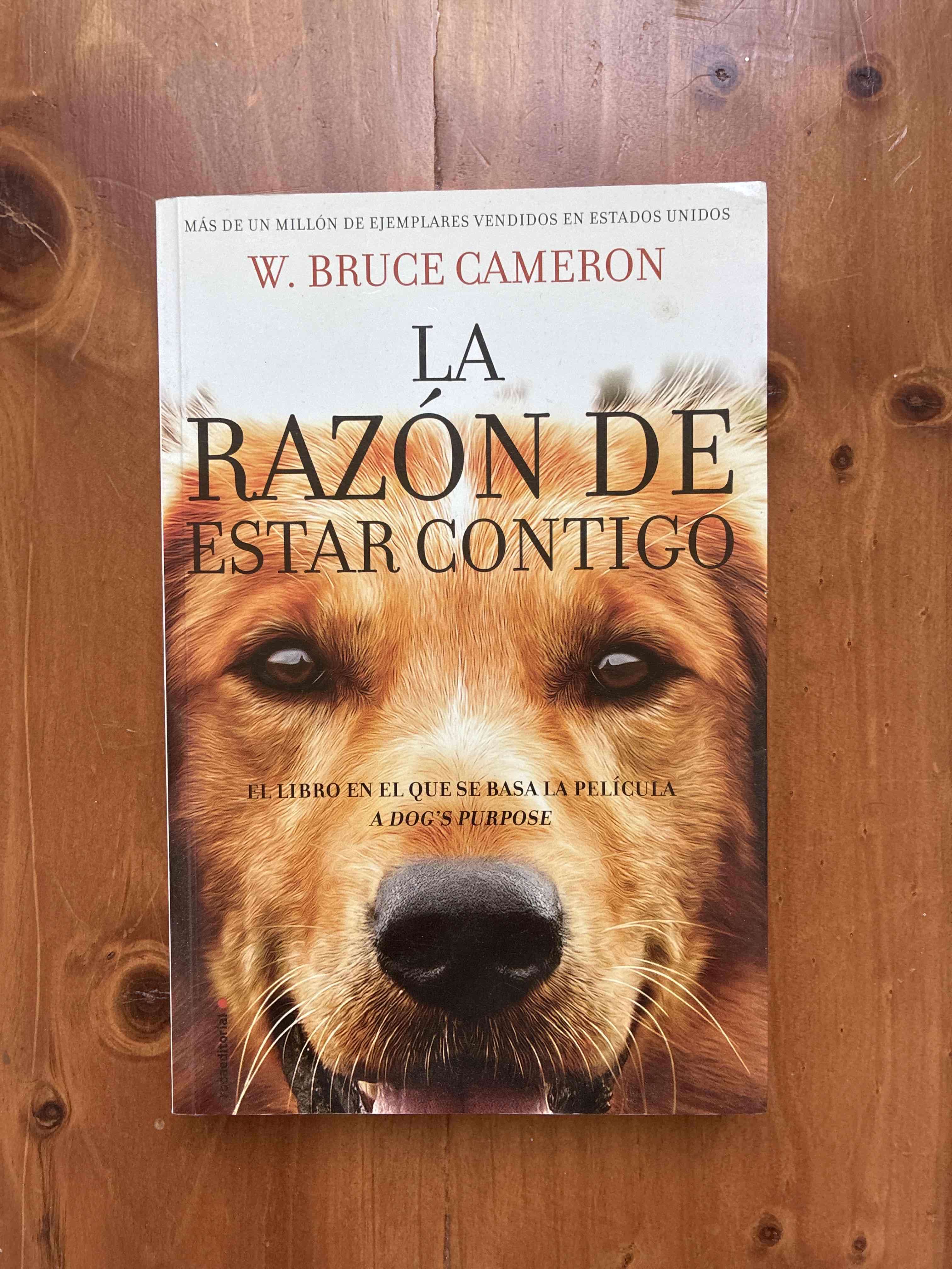 La razón de estar contigo, libro
