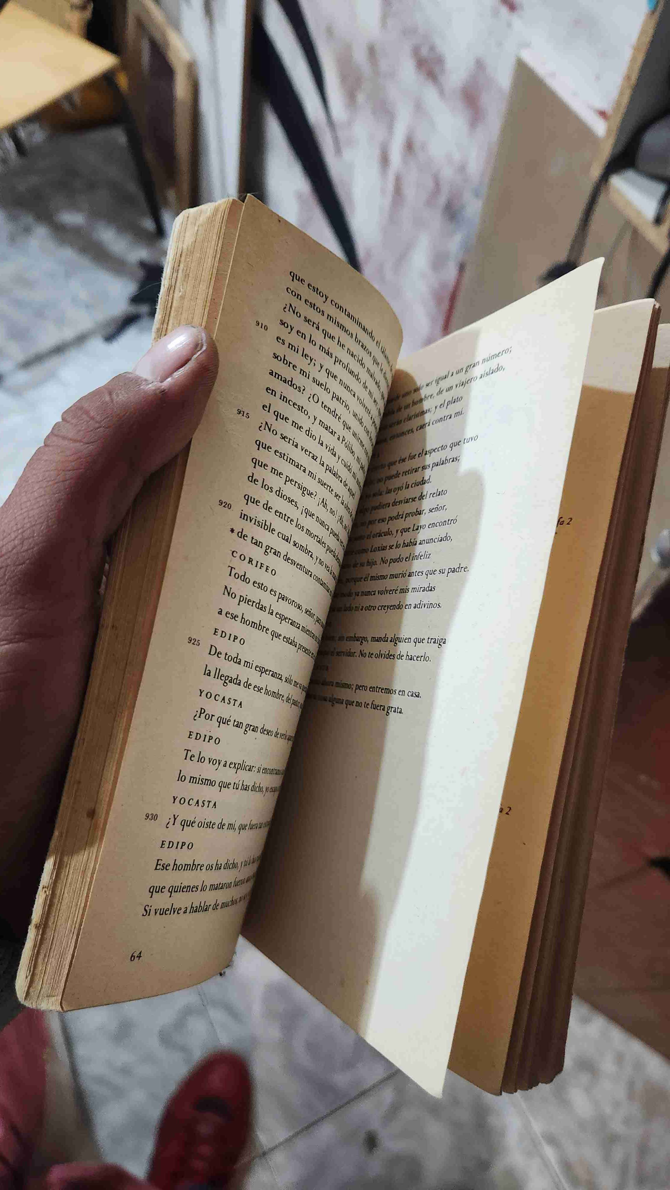 Libro Edipo Rey de Sófocles - miniatura 3