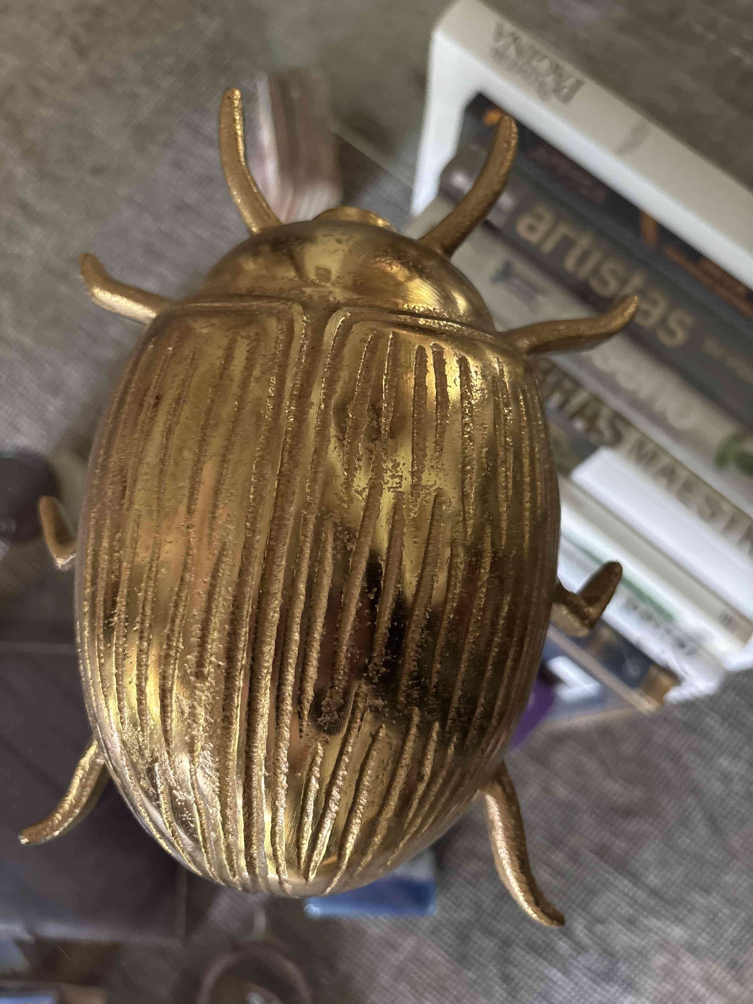 Escarabajo dorado - miniatura 2