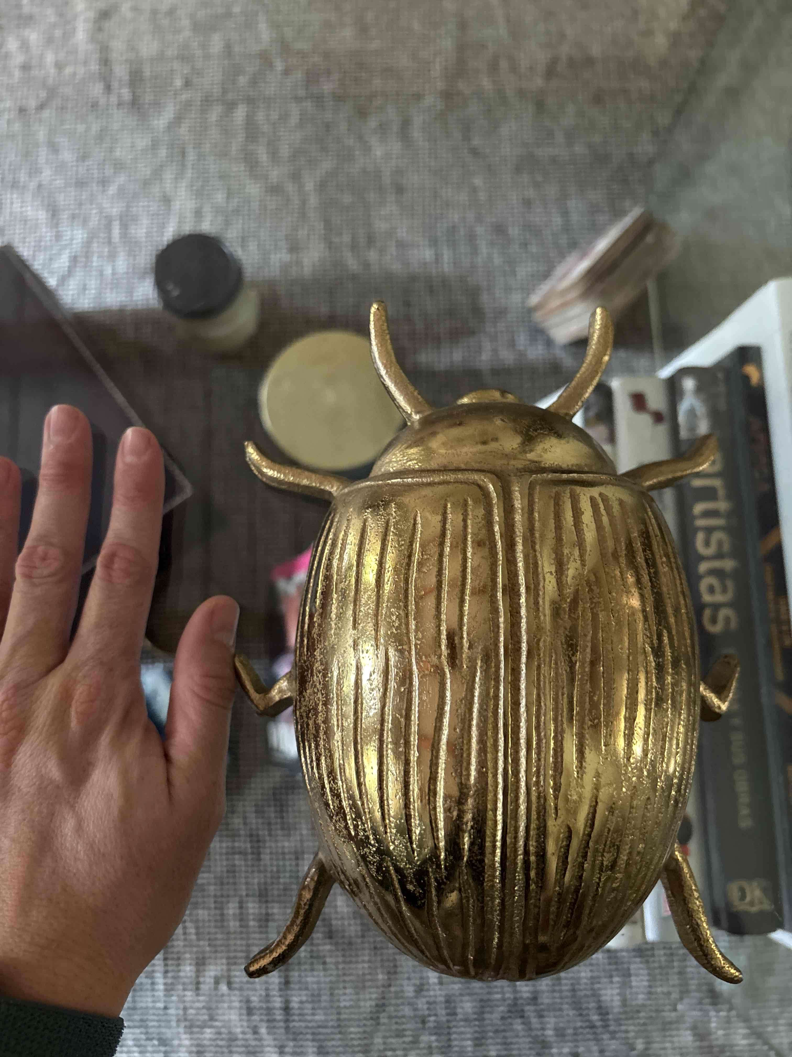 Escarabajo dorado - miniatura 3