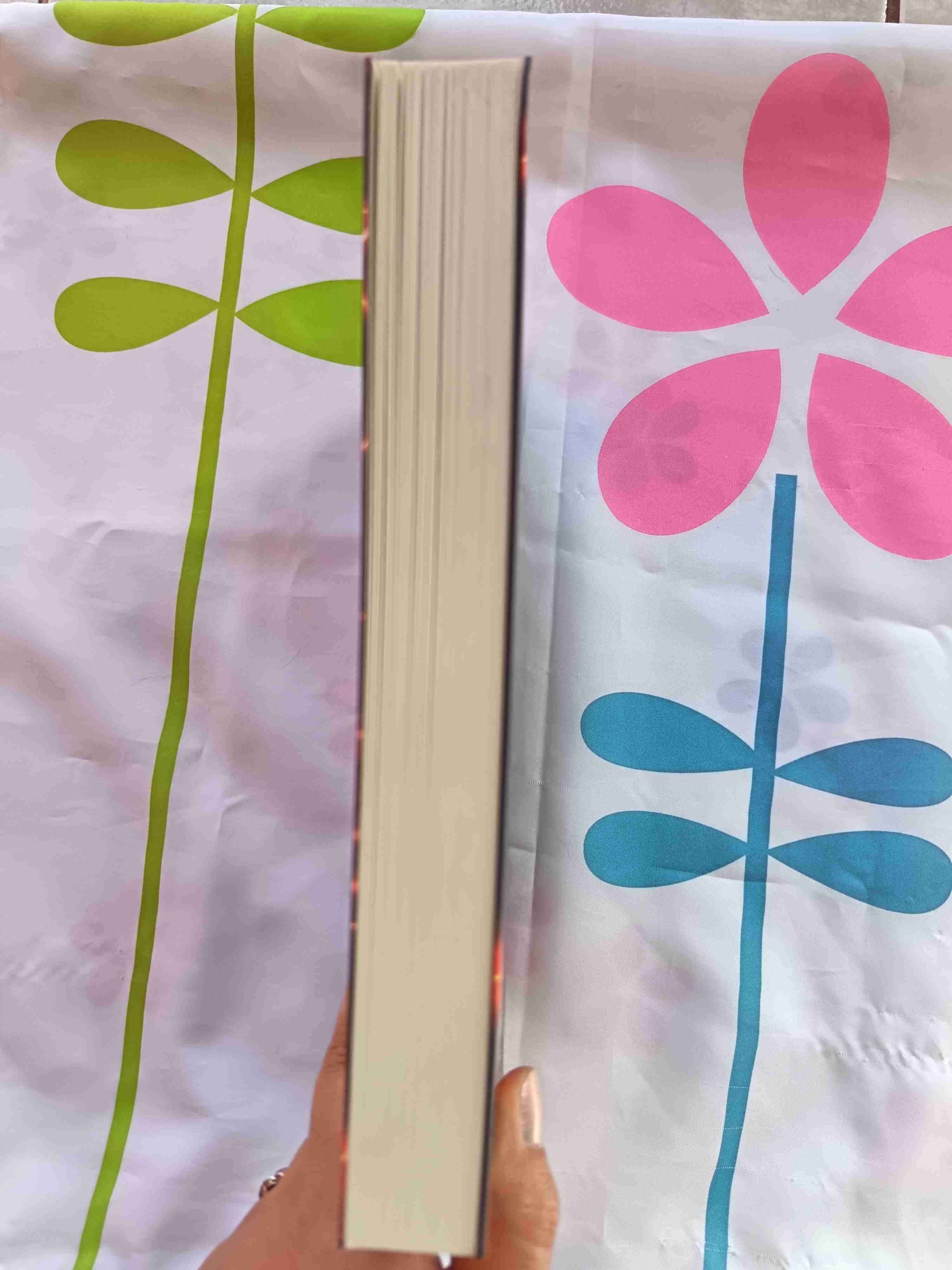 Libro Juego de ladrones - miniatura 5