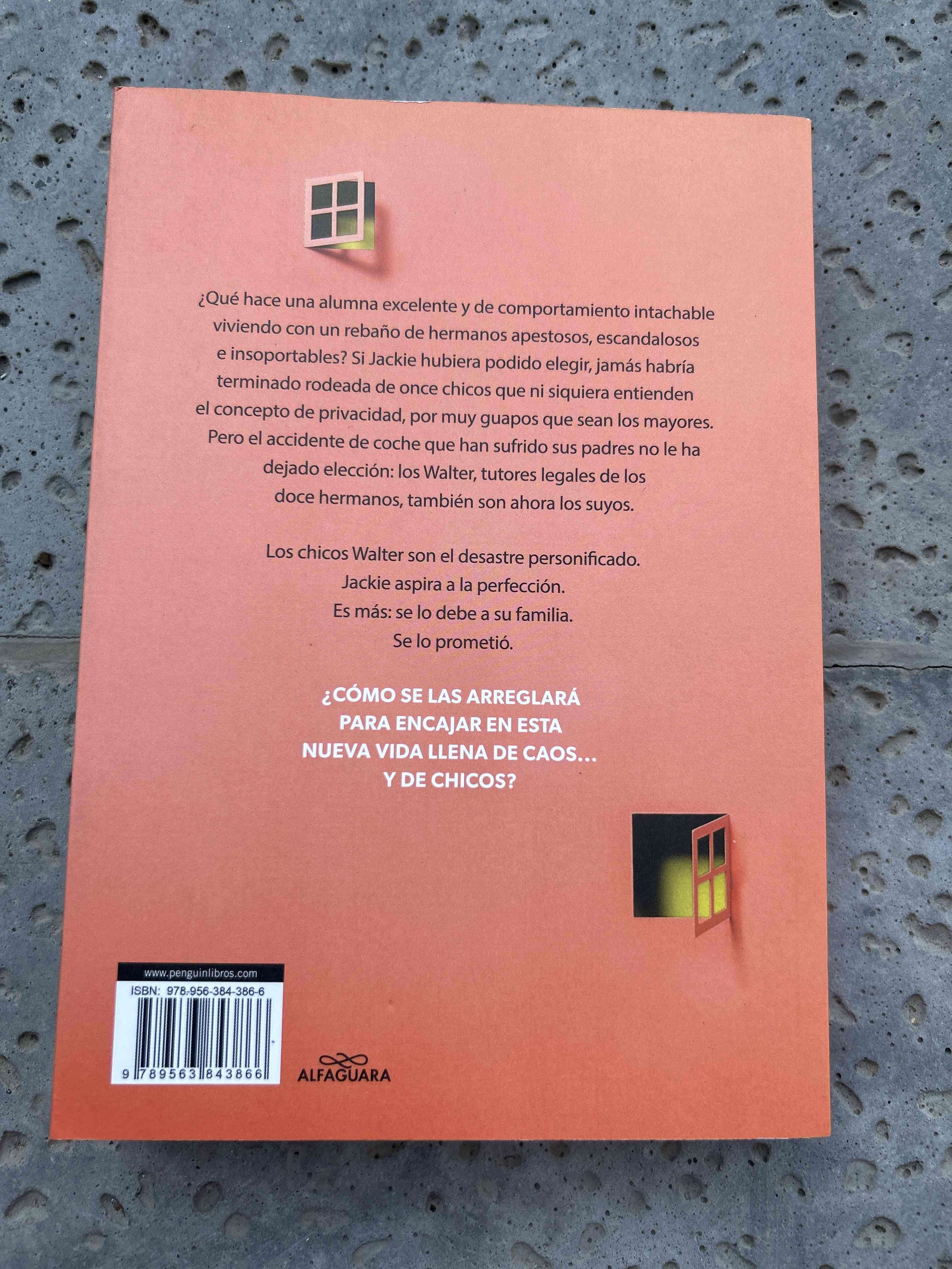 Libro 'Mi vida con los chicos Walter' - miniatura 2