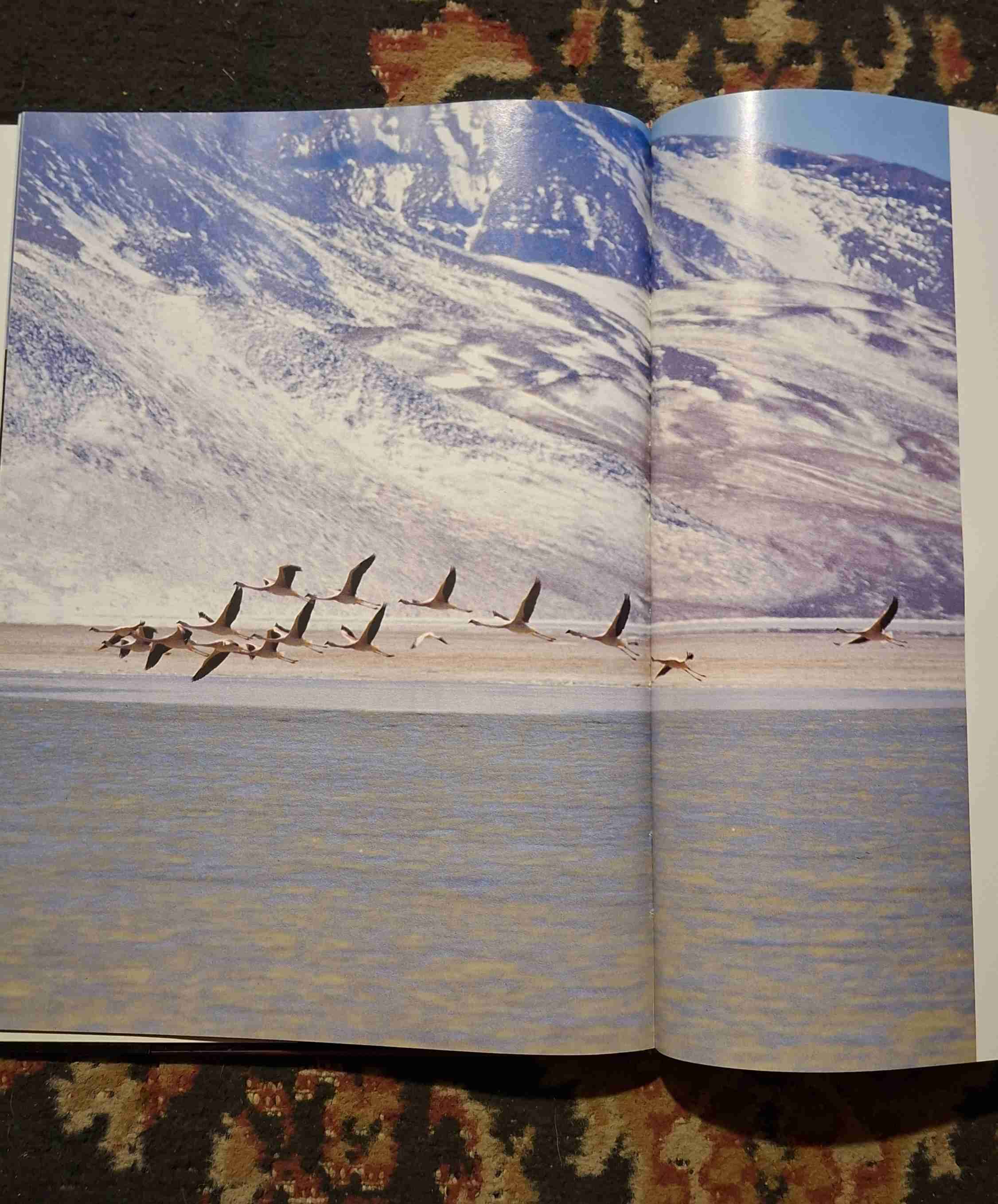 Libro Chile al Sur del Sol - miniatura 4