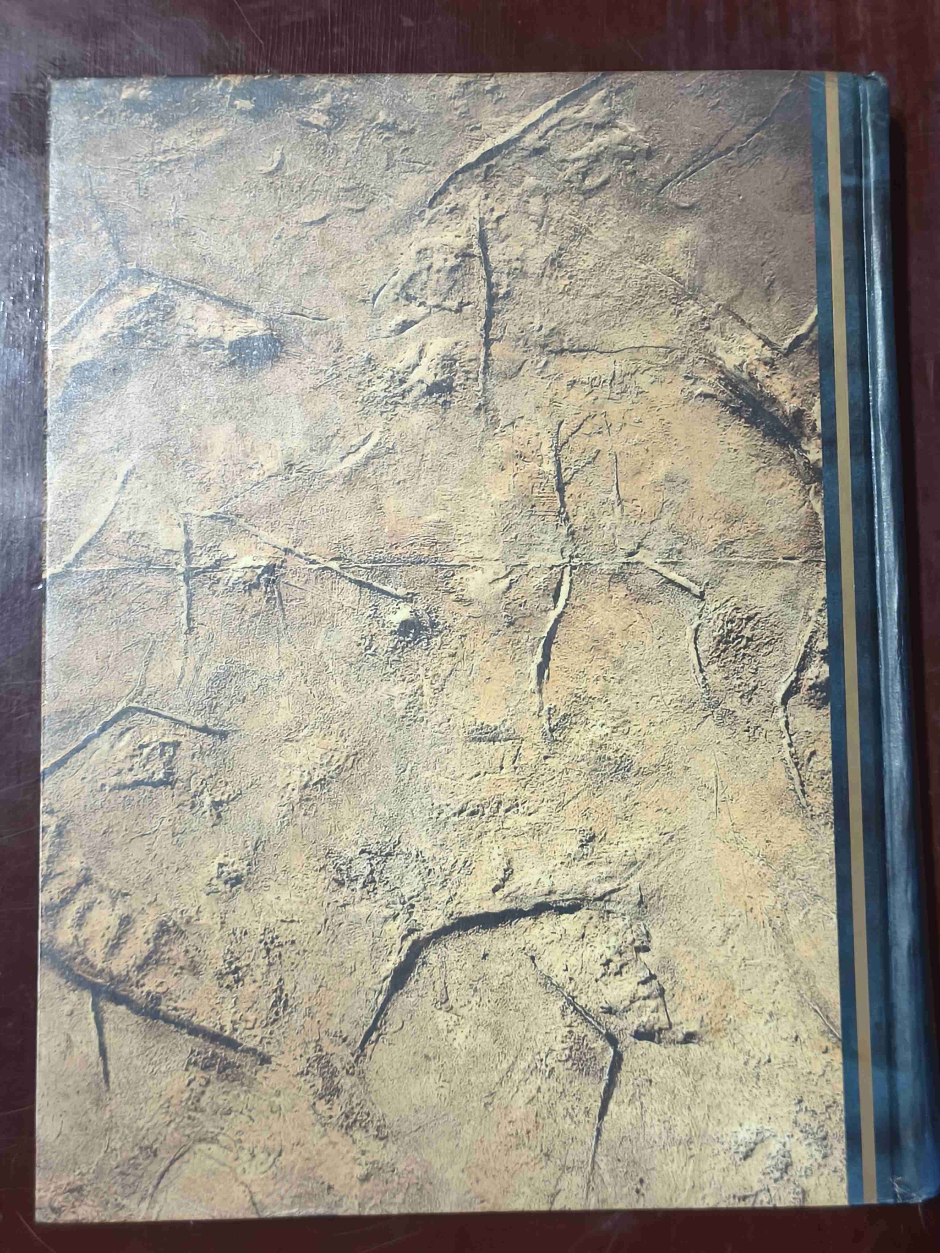 Libro Mundos Extraños y Lugares Asombrosos - miniatura 2