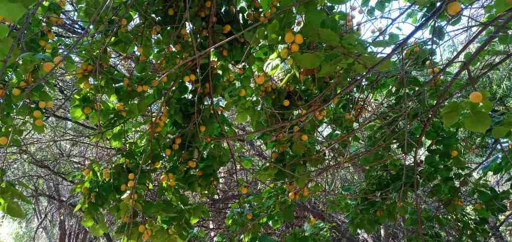 Vendo casa hermosa - miniatura 2