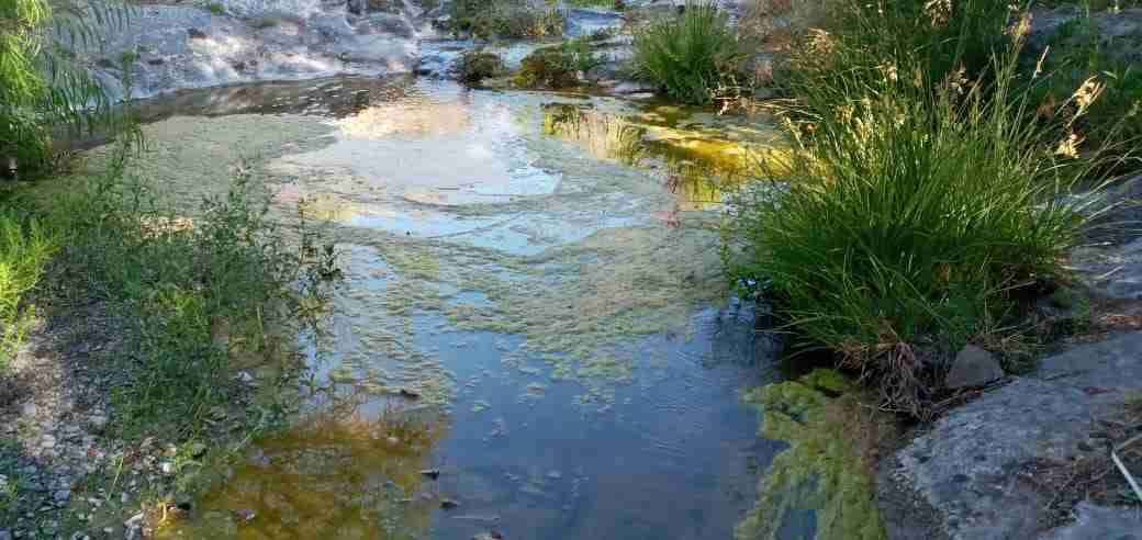 Vendo casa hermosa - miniatura 3