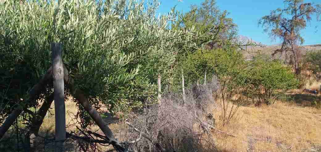 Vendo casa hermosa - miniatura 4