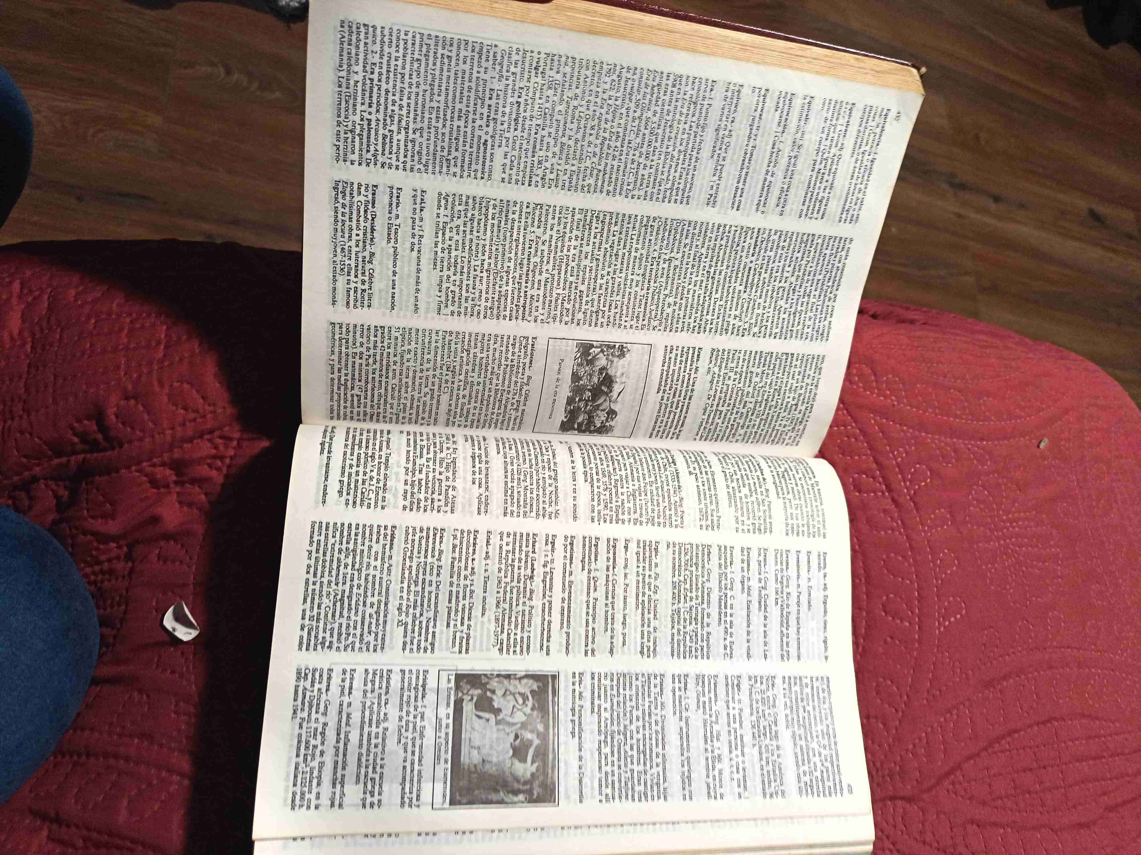 Diccionario enciclopédico ilustrado - miniatura 2