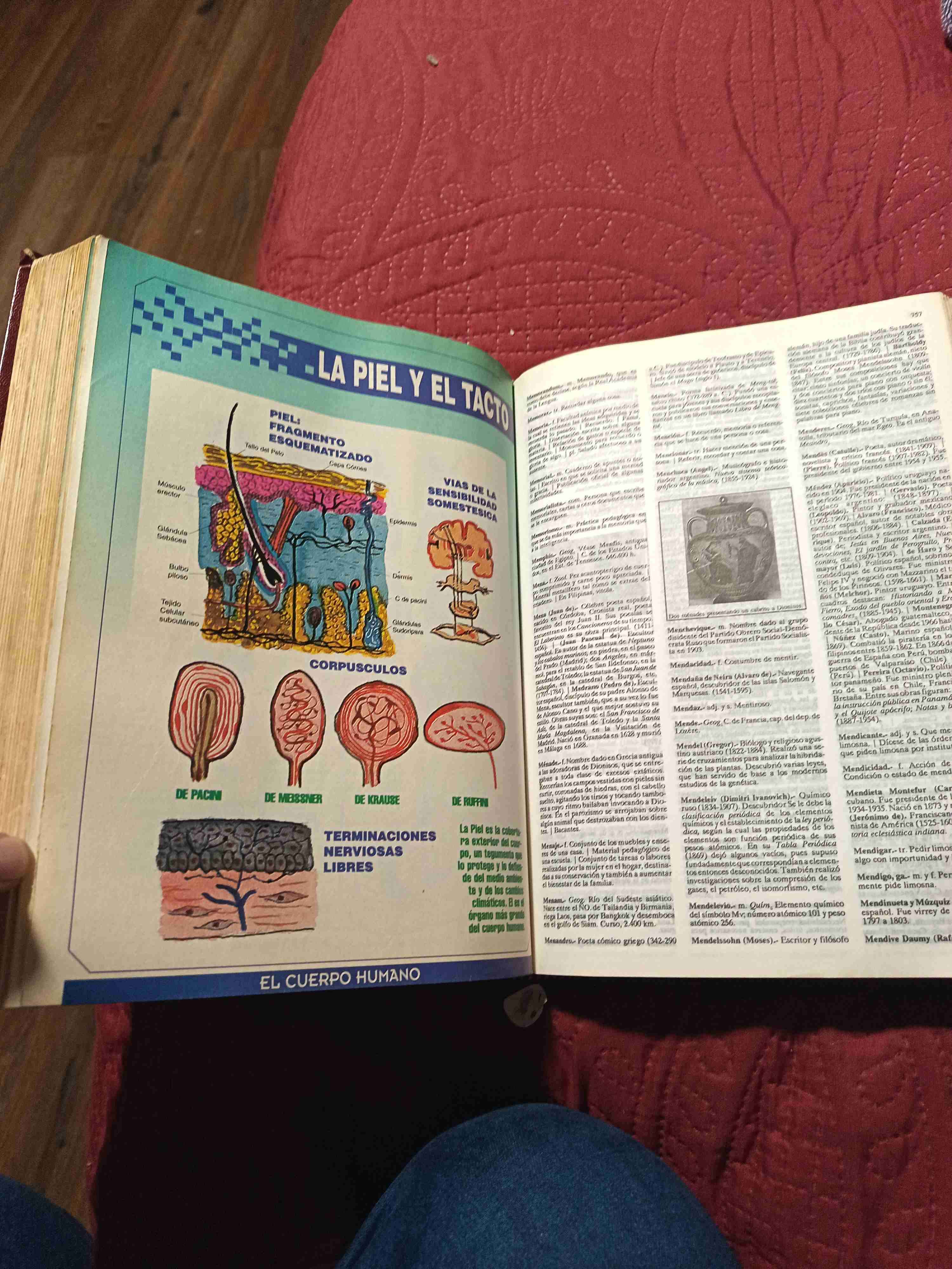 Diccionario enciclopédico ilustrado - miniatura 3