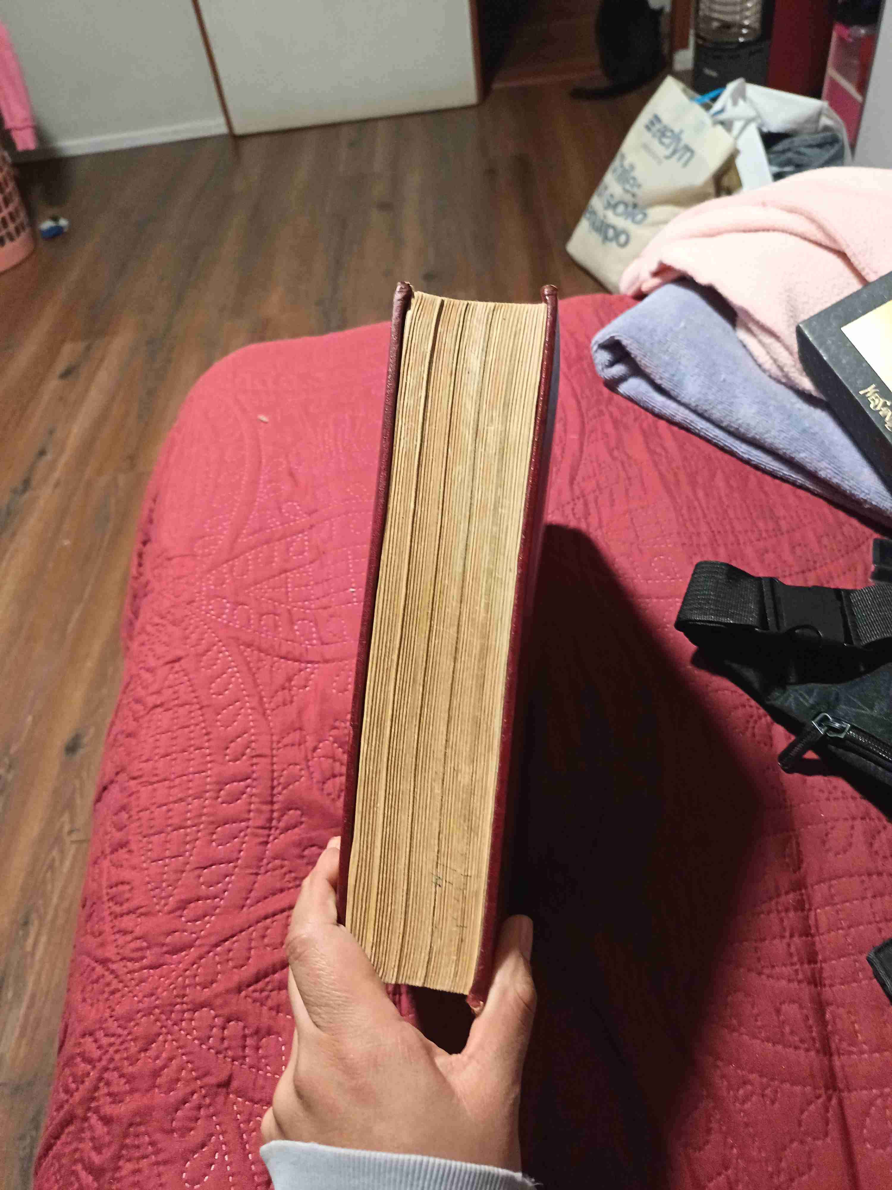 Diccionario enciclopédico ilustrado - miniatura 4