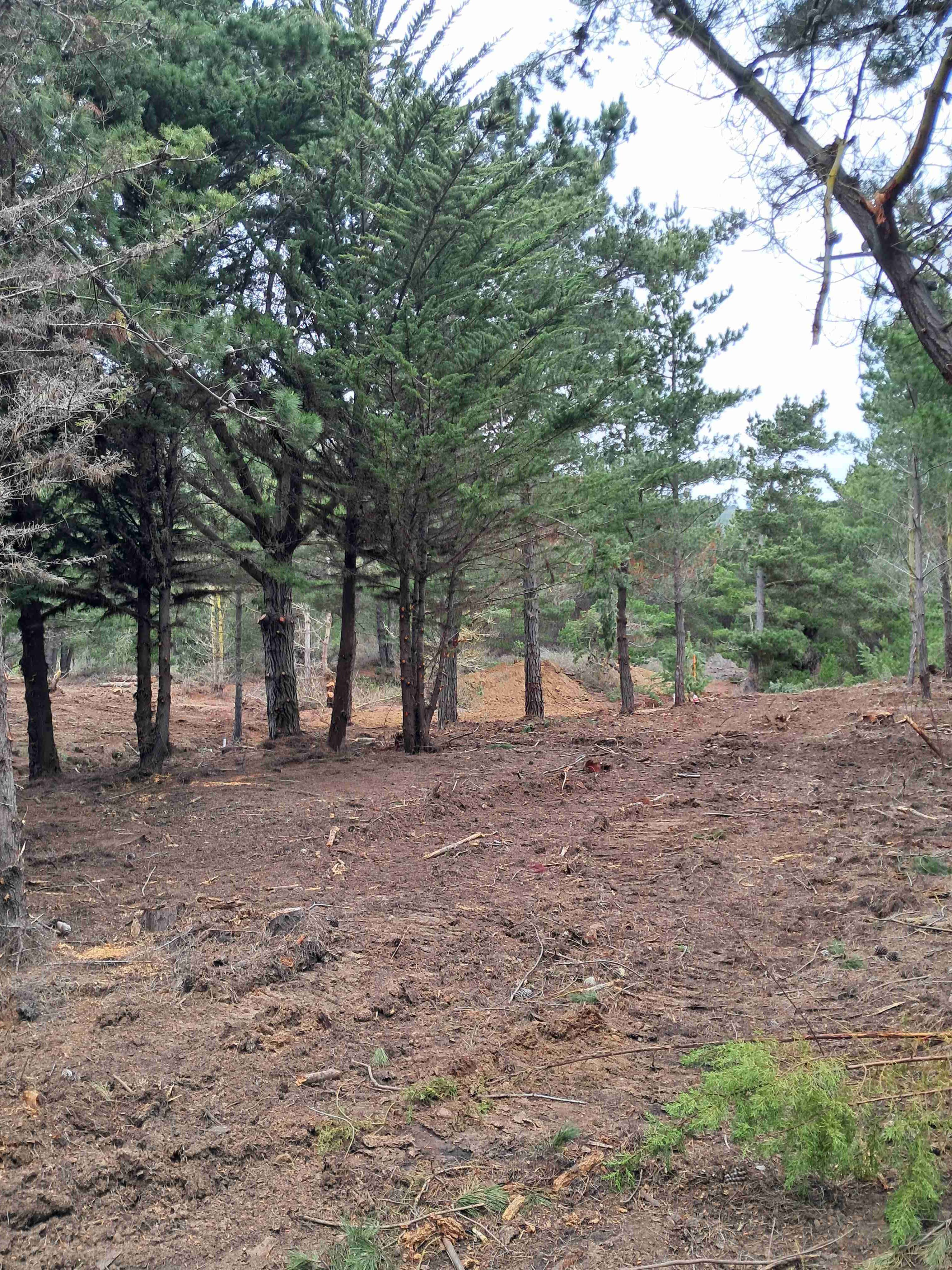 Laguna verde "LIQUIDO" - miniatura 4