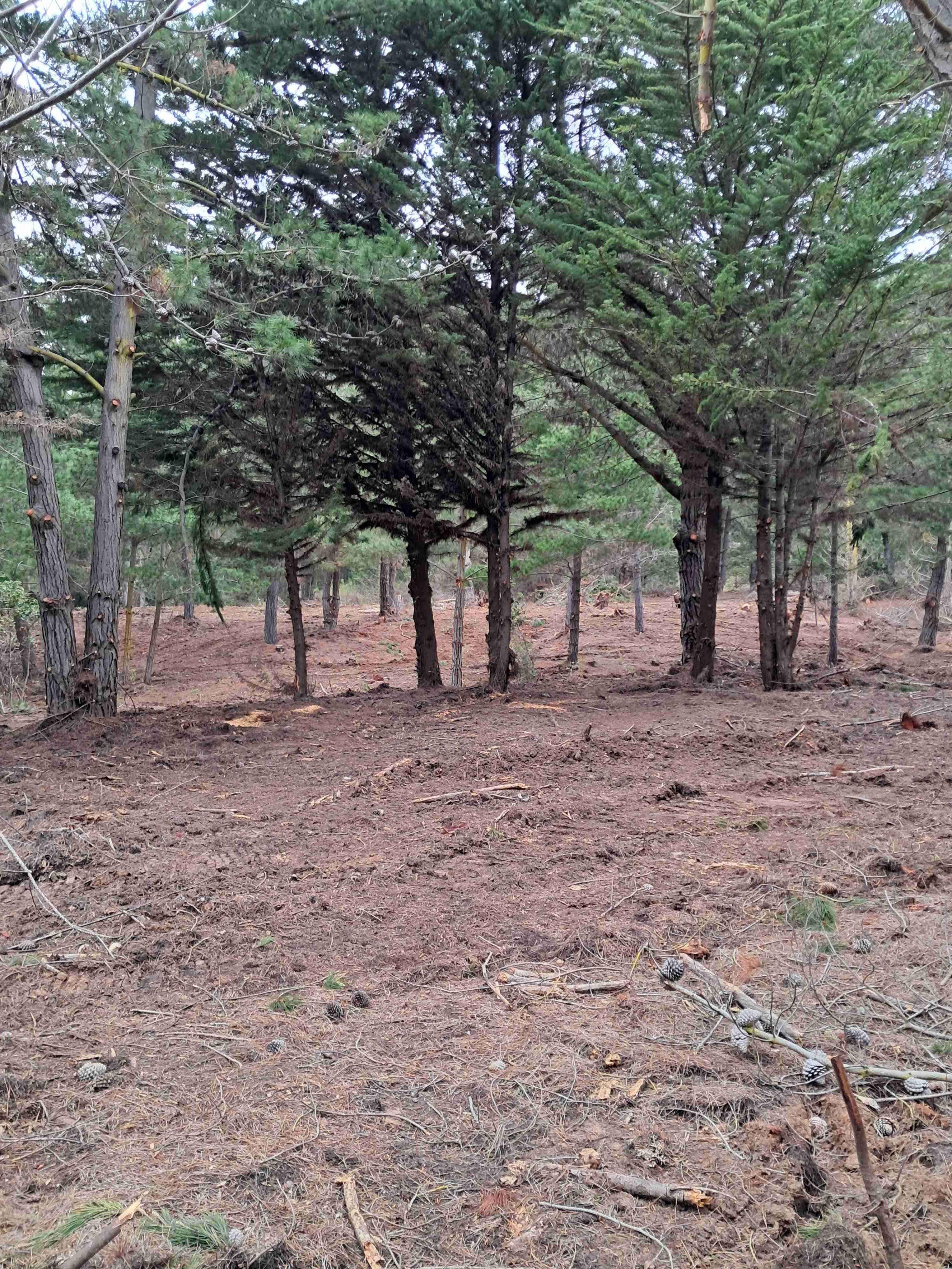 Laguna verde "LIQUIDO" - miniatura 5