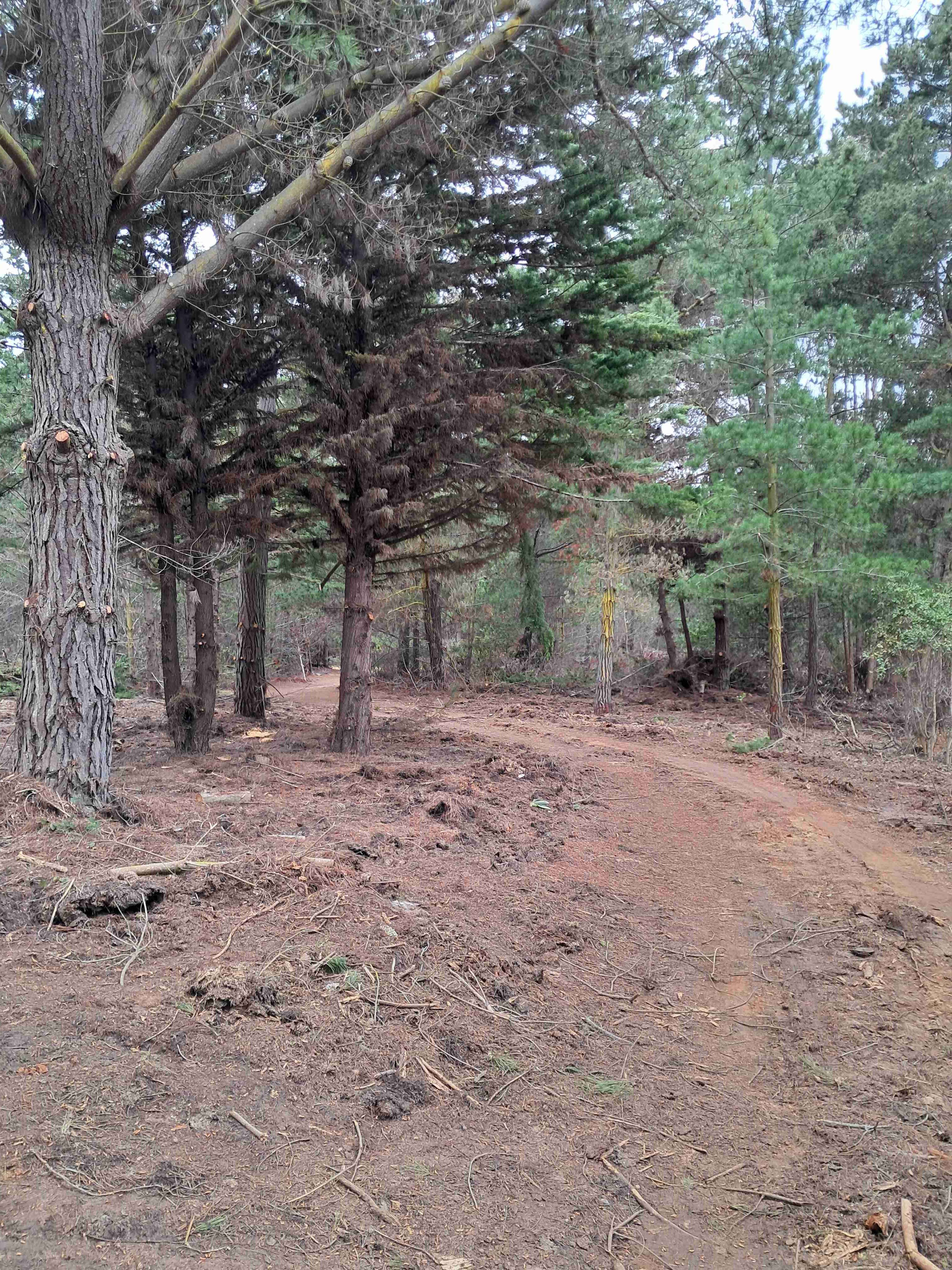 Laguna verde "LIQUIDO" - miniatura 6