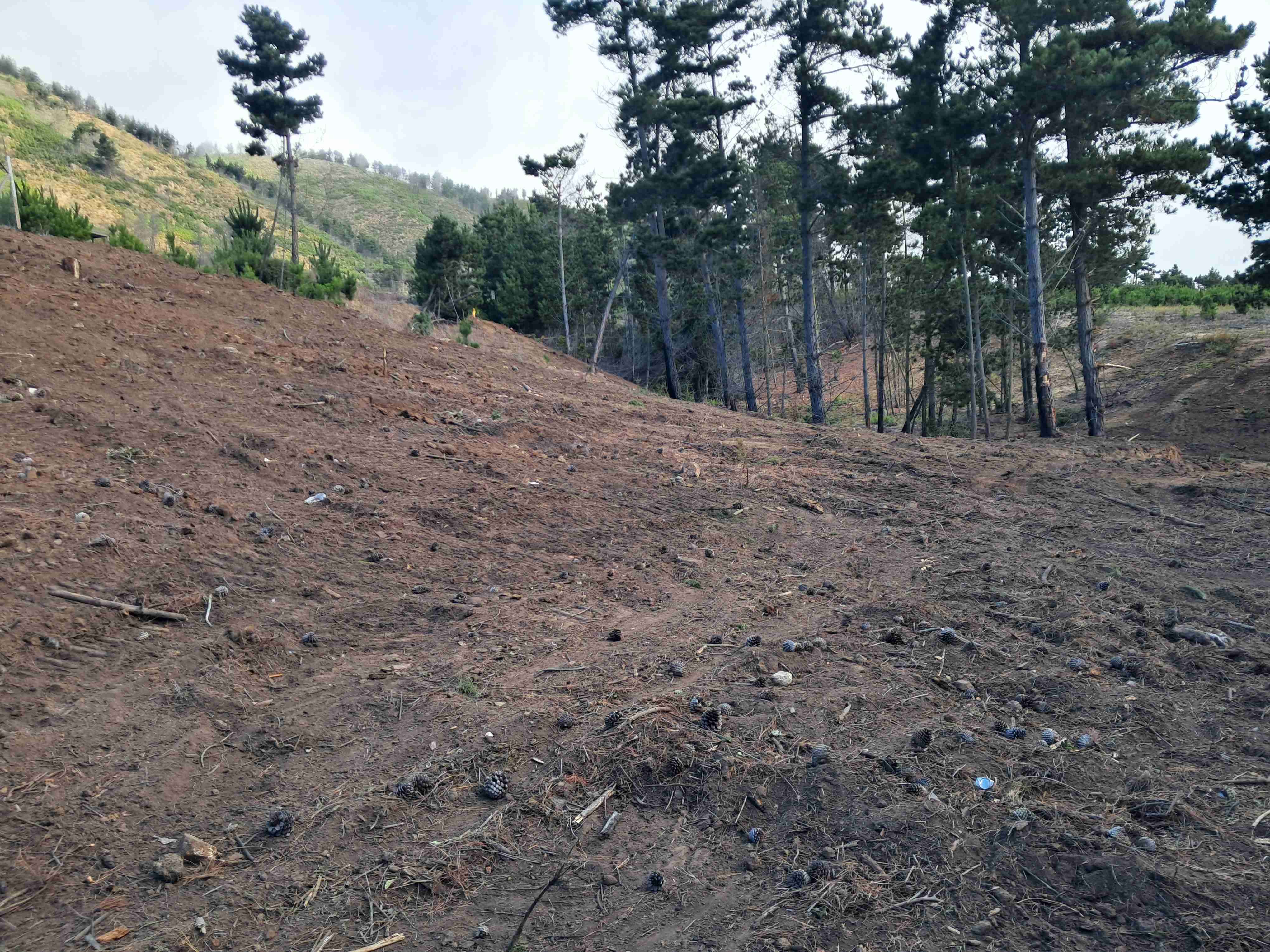 Laguna verde" ROL PROPIO - miniatura 2