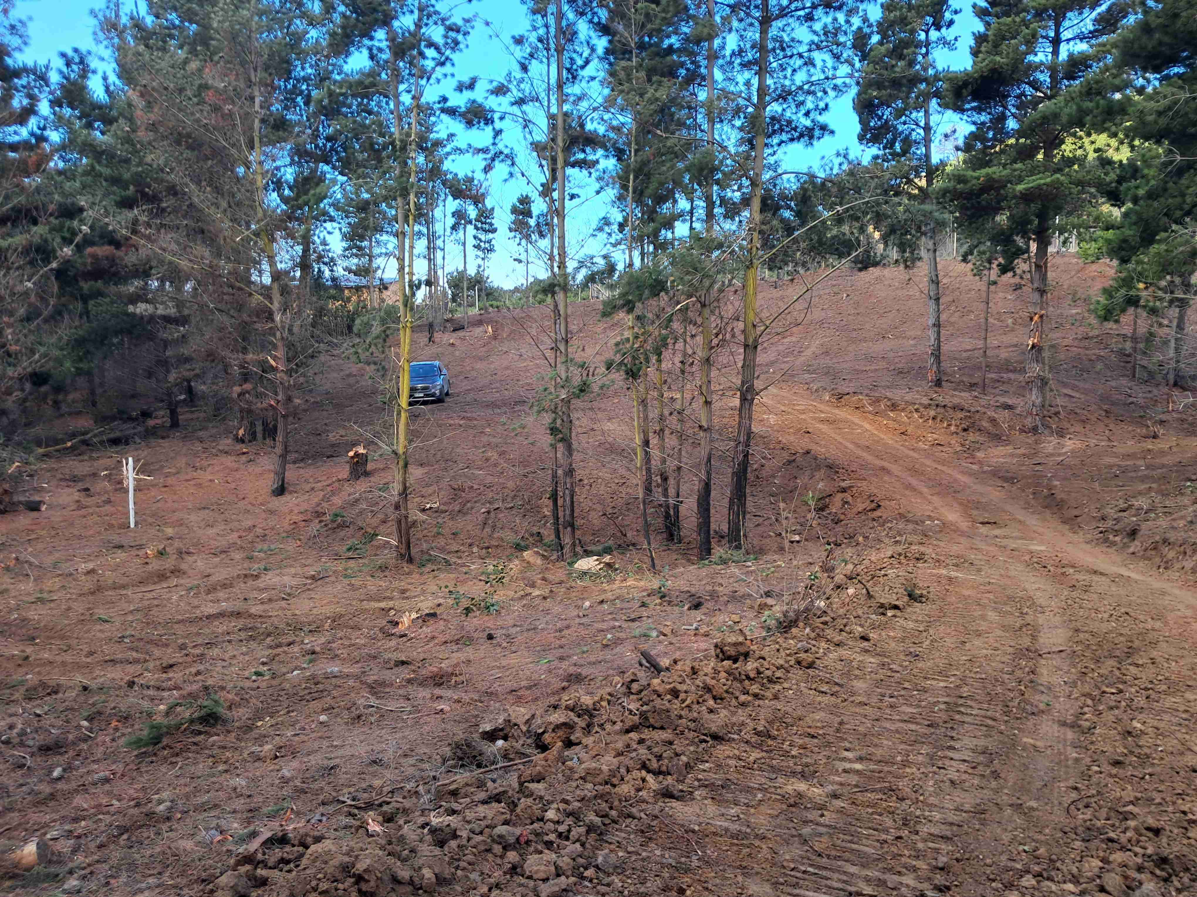 Laguna verde" ROL PROPIO - miniatura 3