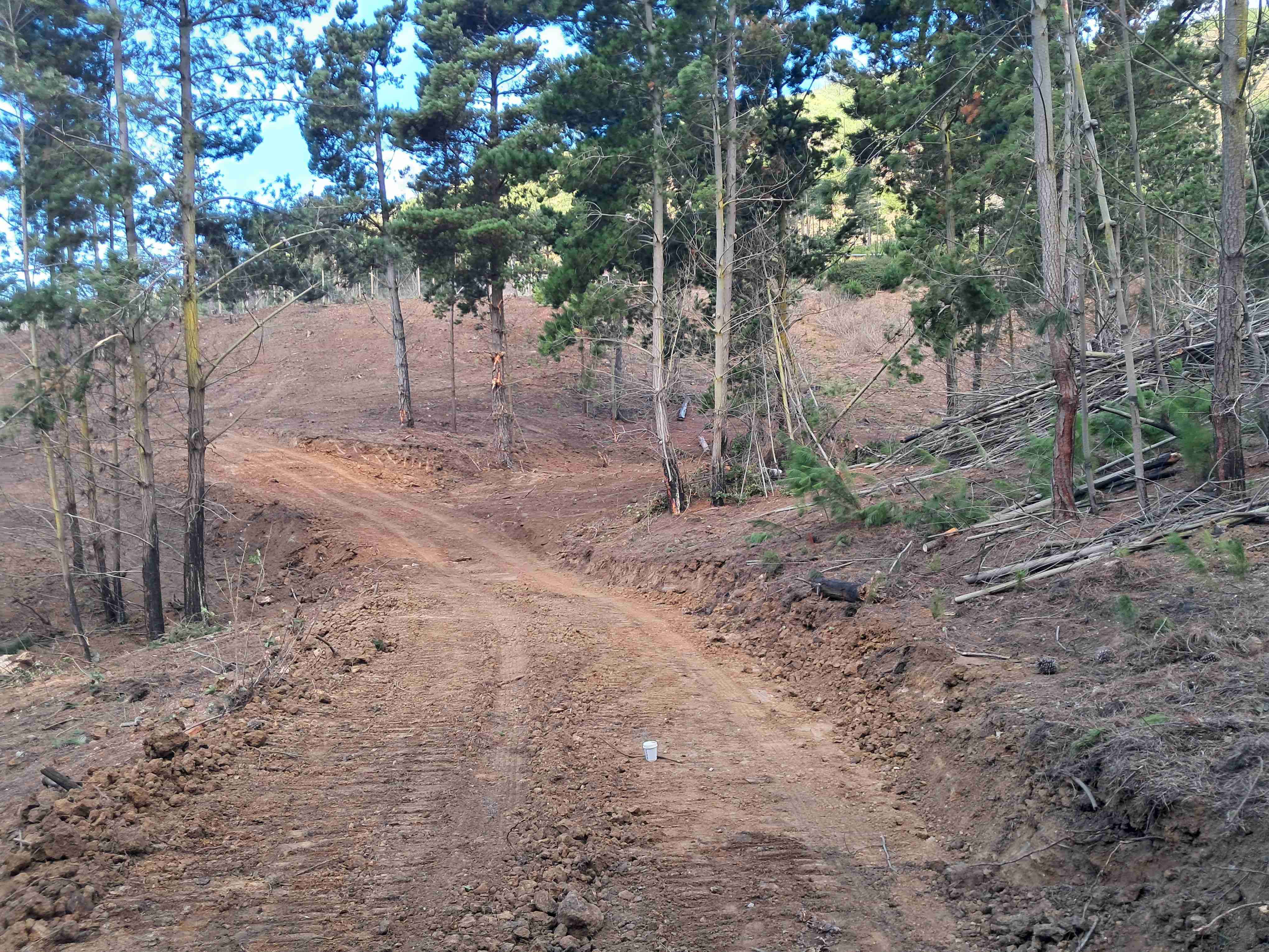 Laguna verde" ROL PROPIO - miniatura 4