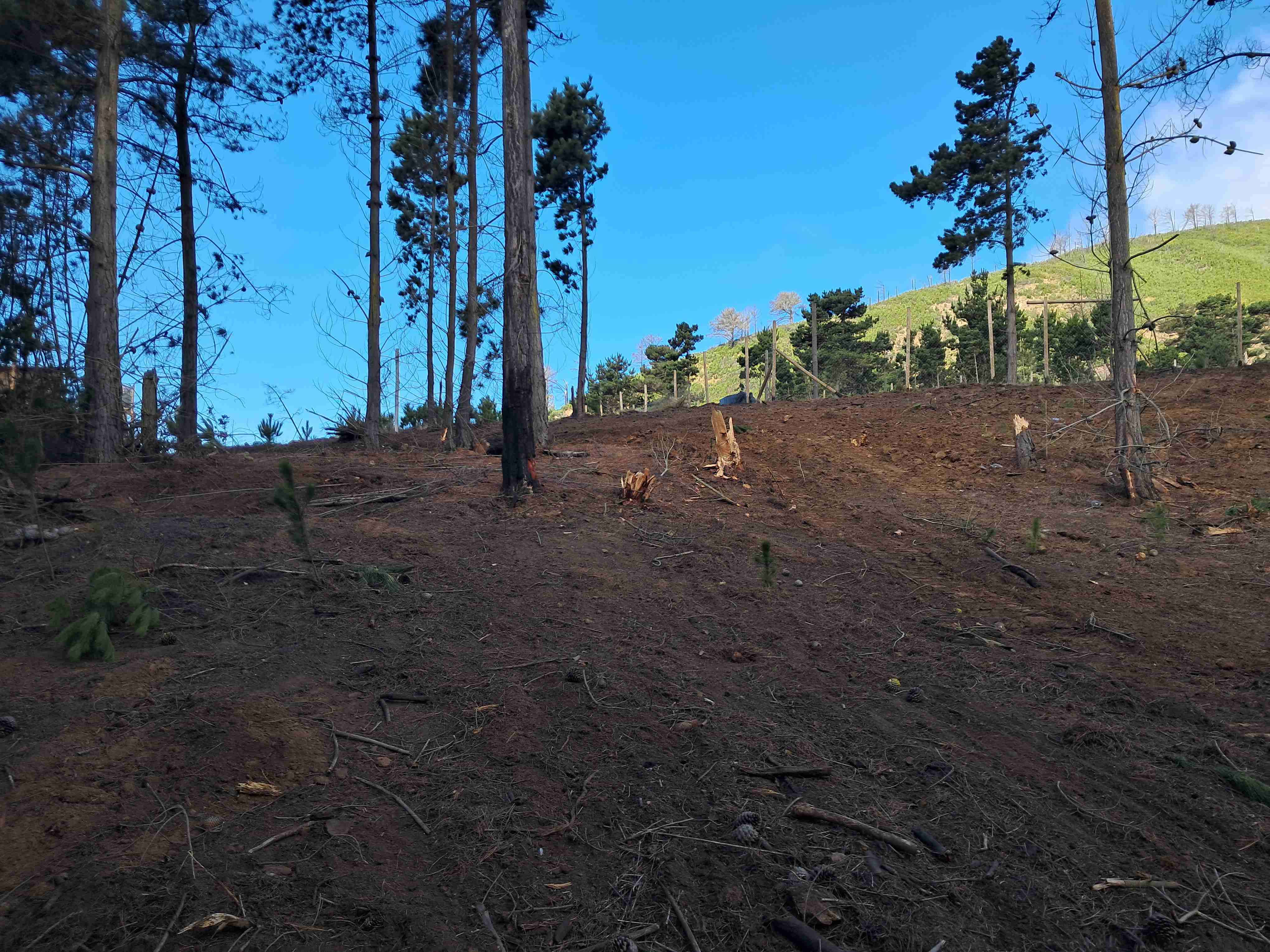 Laguna verde" ROL PROPIO - miniatura 5